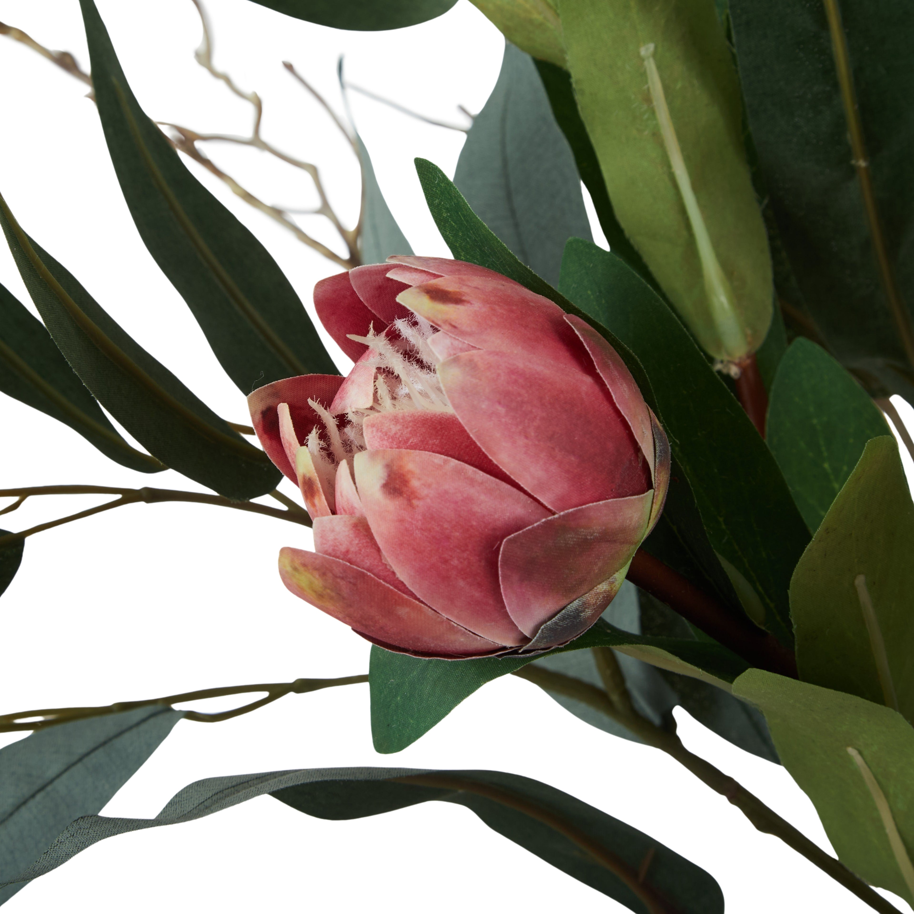 Faux Protea Eucalyptus Mix Arrangement - Alana Vase