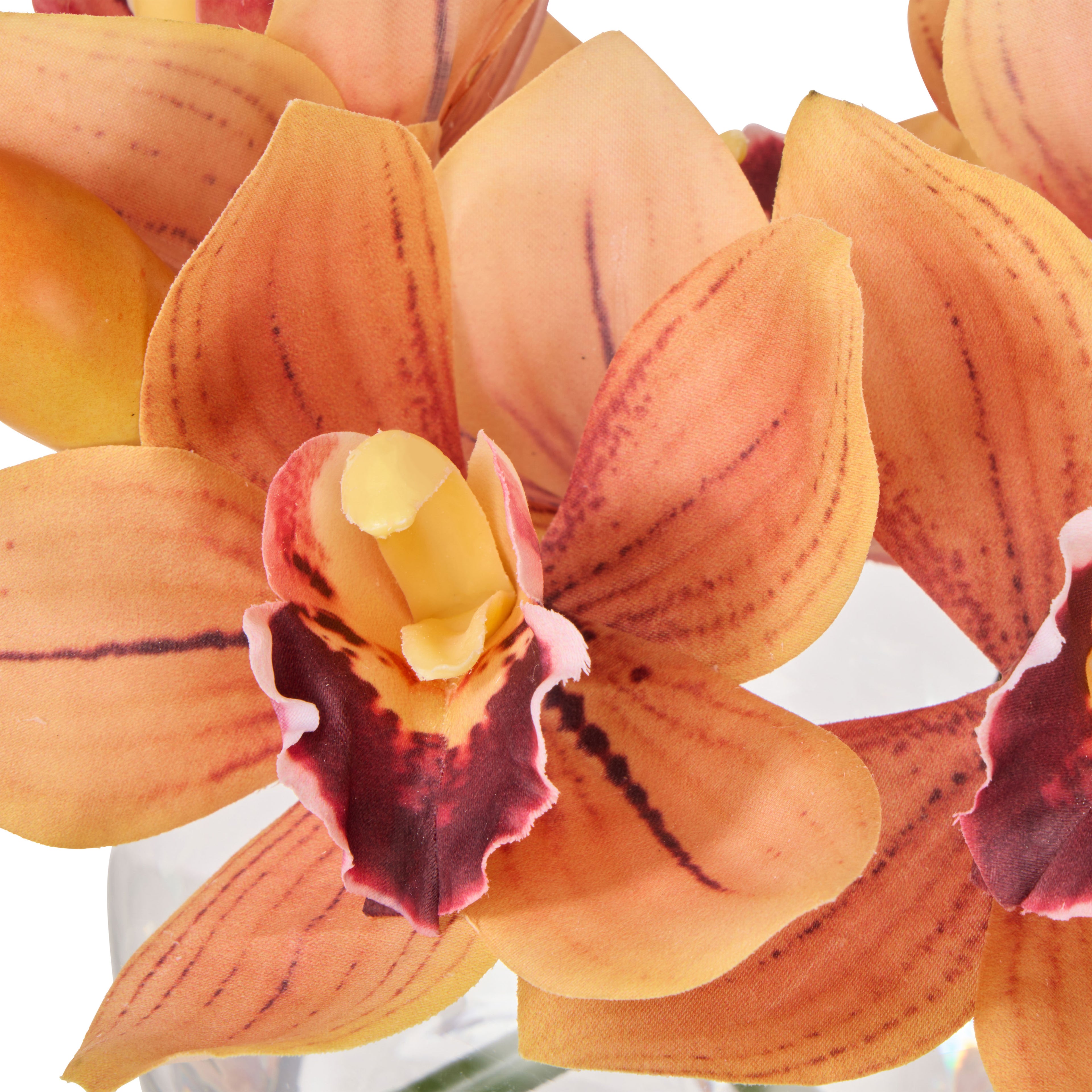 Faux Cymbidium - Glass Vase | Orange - 20cm