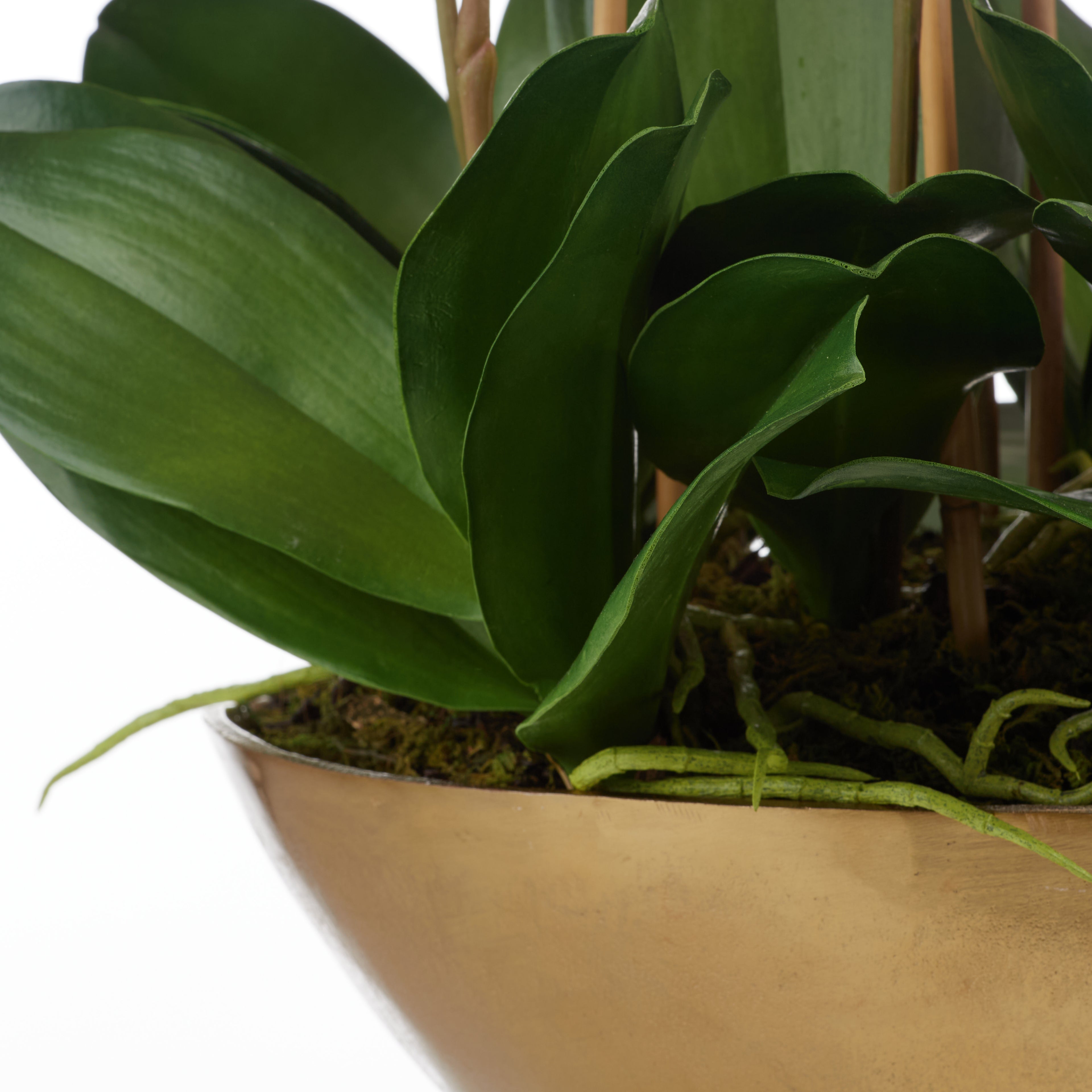 Faux Phalaenopsis Orchid - Gold Metal Bowl | Pink - 70cm