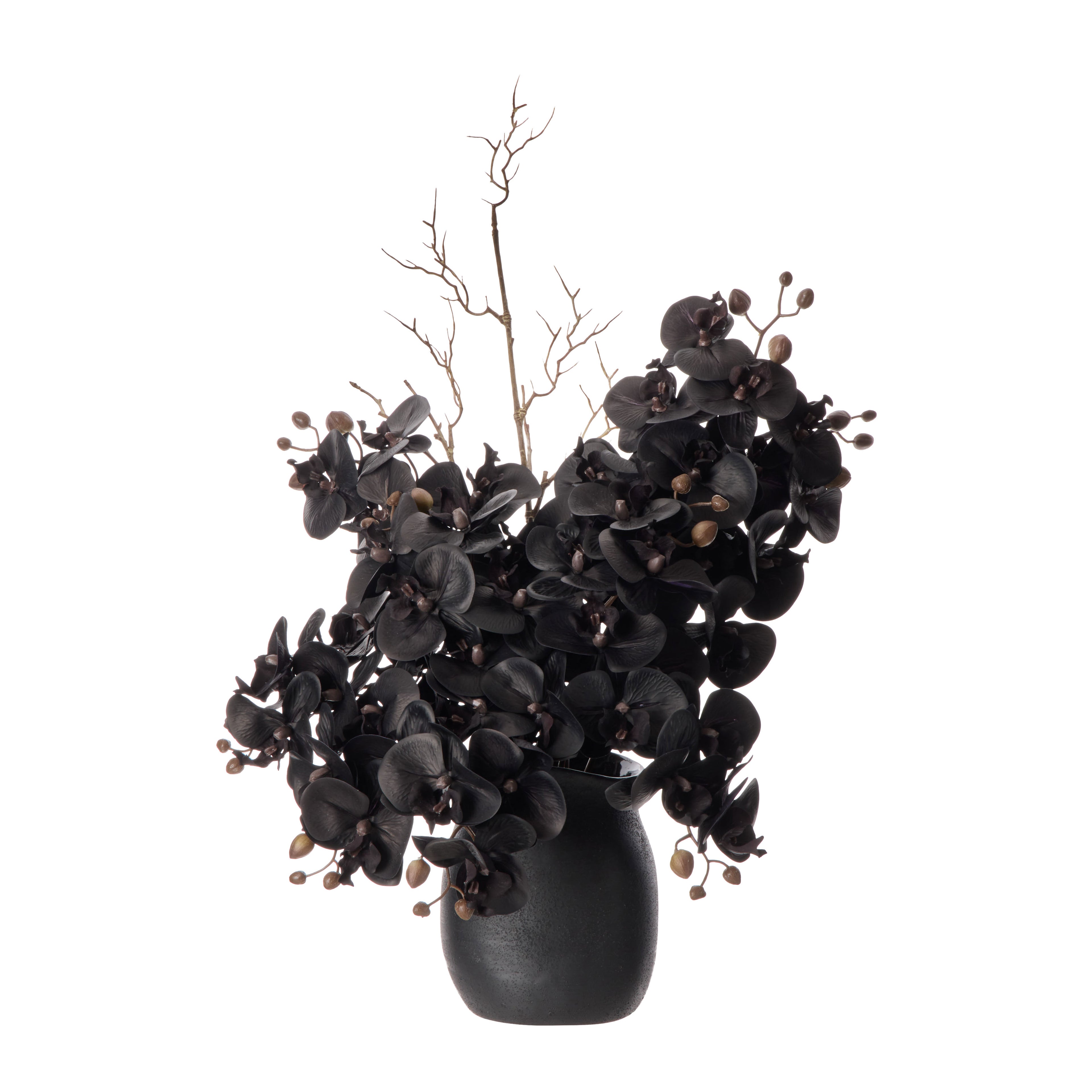 Faux Phalaenopsis - Maliah Pot | Black - 65cm
