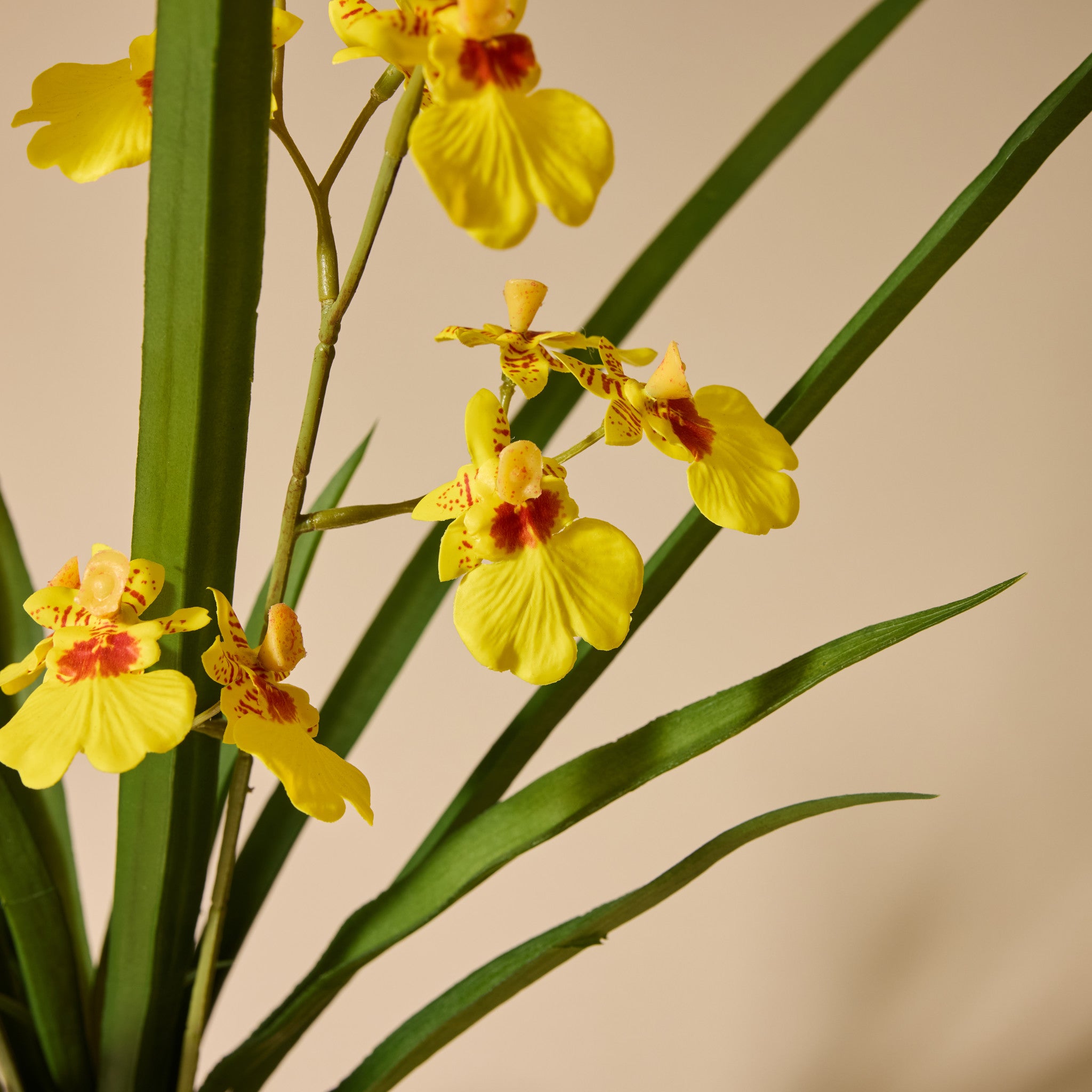 Faux Dancing Orchid Pot | Yellow - 58cm