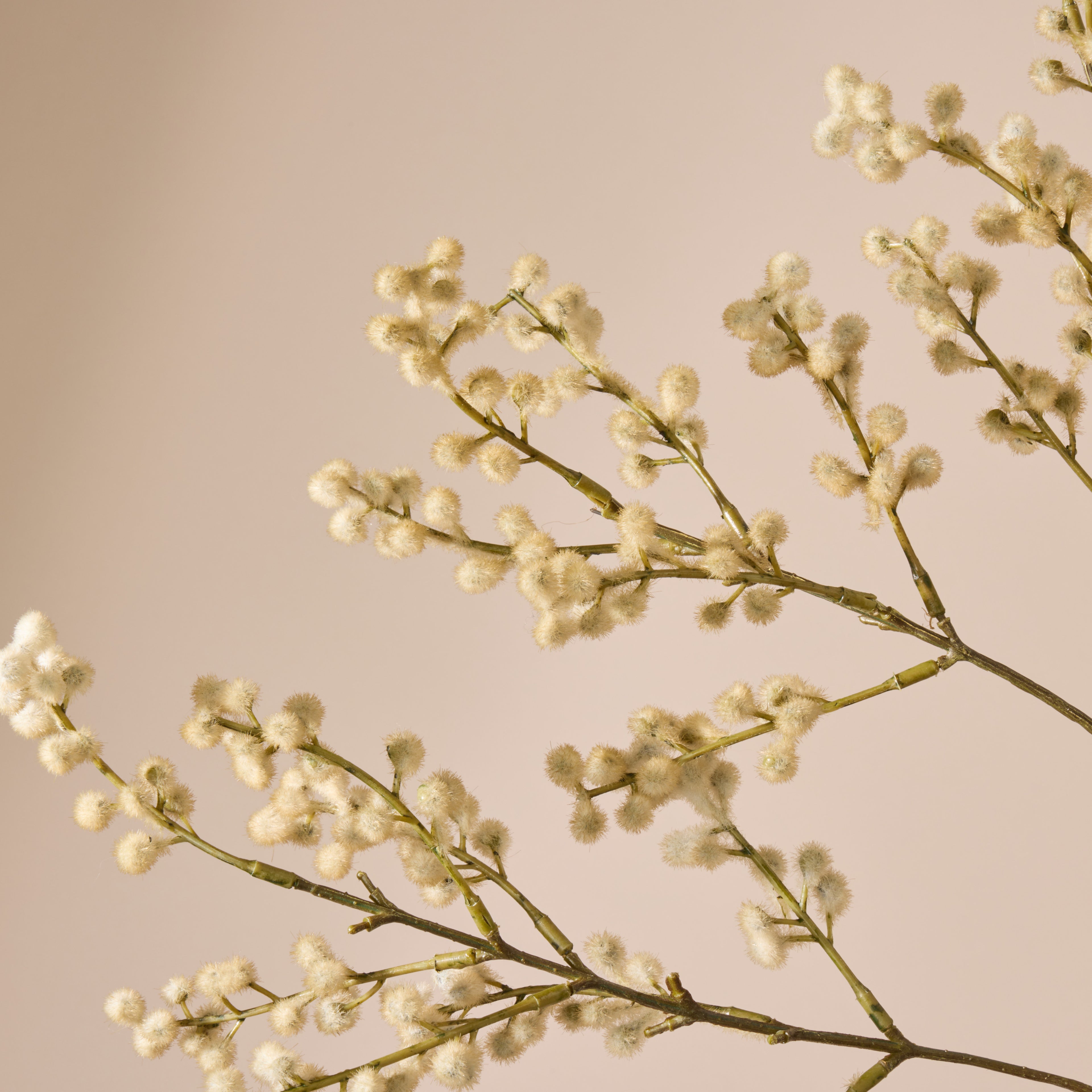 Faux Wattle Branch | Brown - 98cm