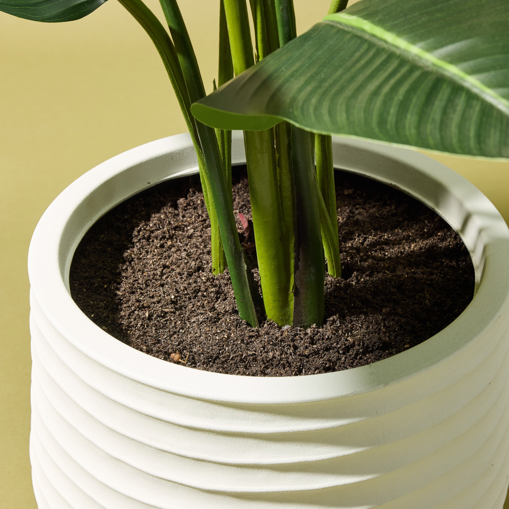 Faux Bird of Paradise - Ryker Planter | White - 150cm