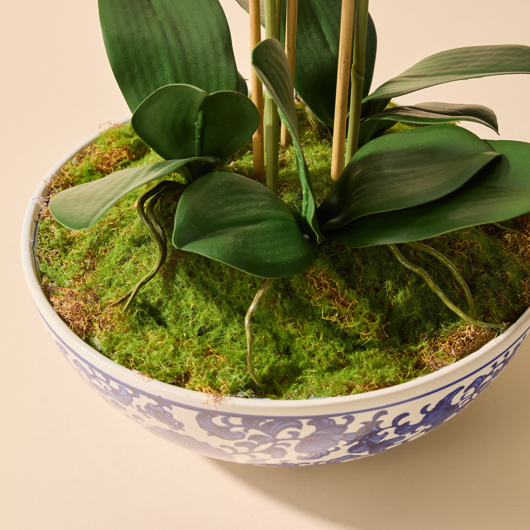 Faux Phalaenopsis Orchid - Blue and White Bowl | White - 66cm