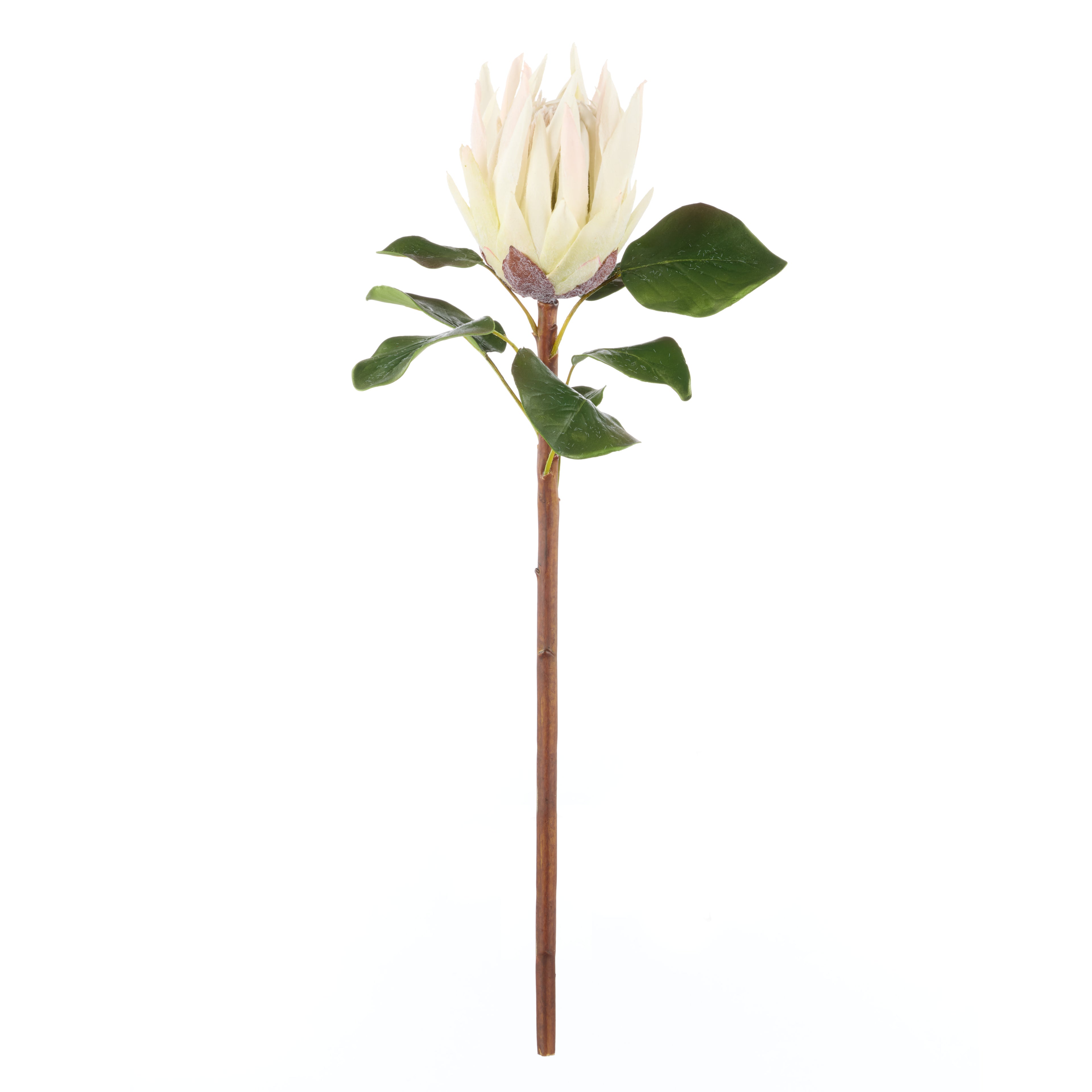 Faux King Protea Stem | White - 60cm
