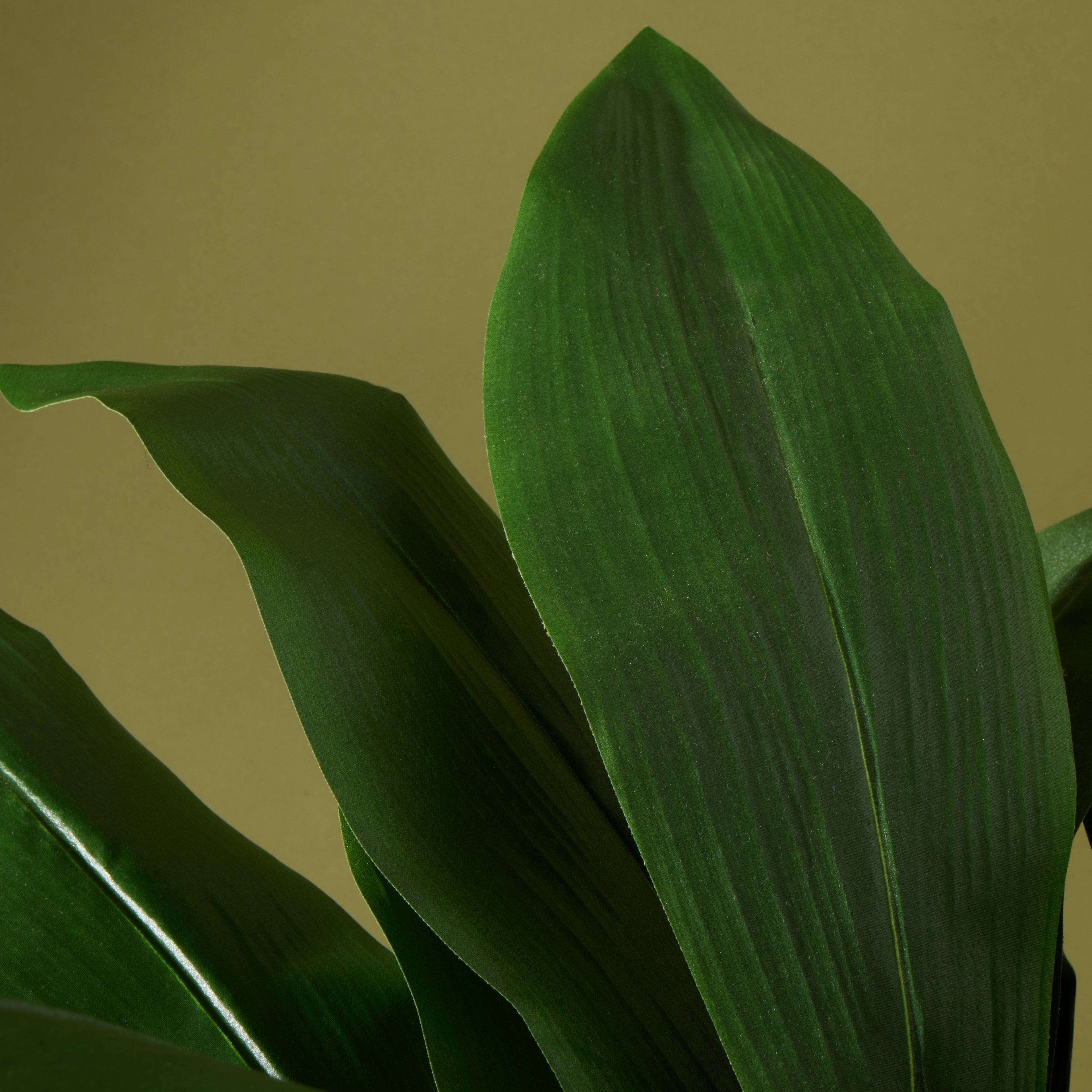 Faux Cast Iron Plant UV Treated  | 90cm