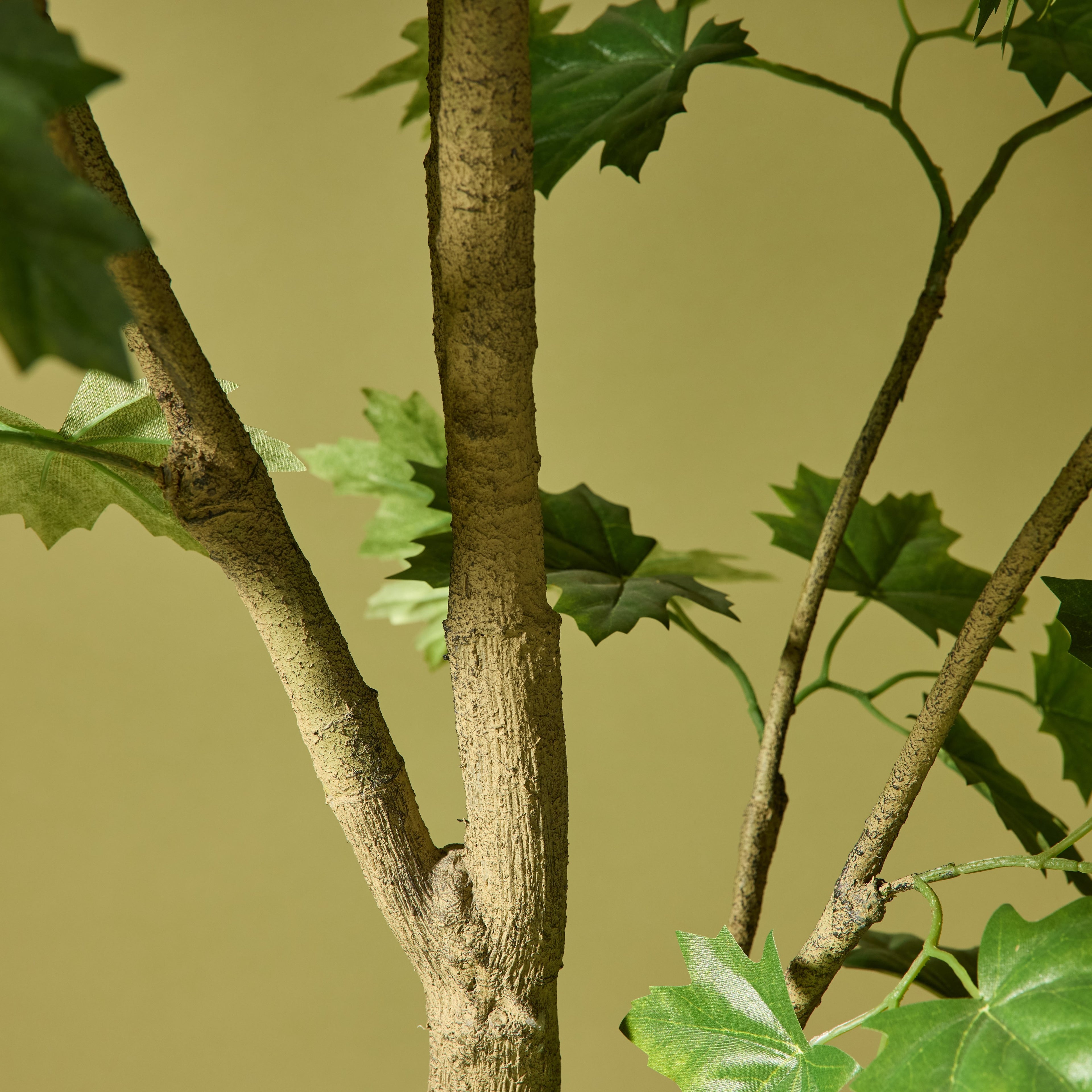 Faux Maple Tree - Garden Pot | 210cm