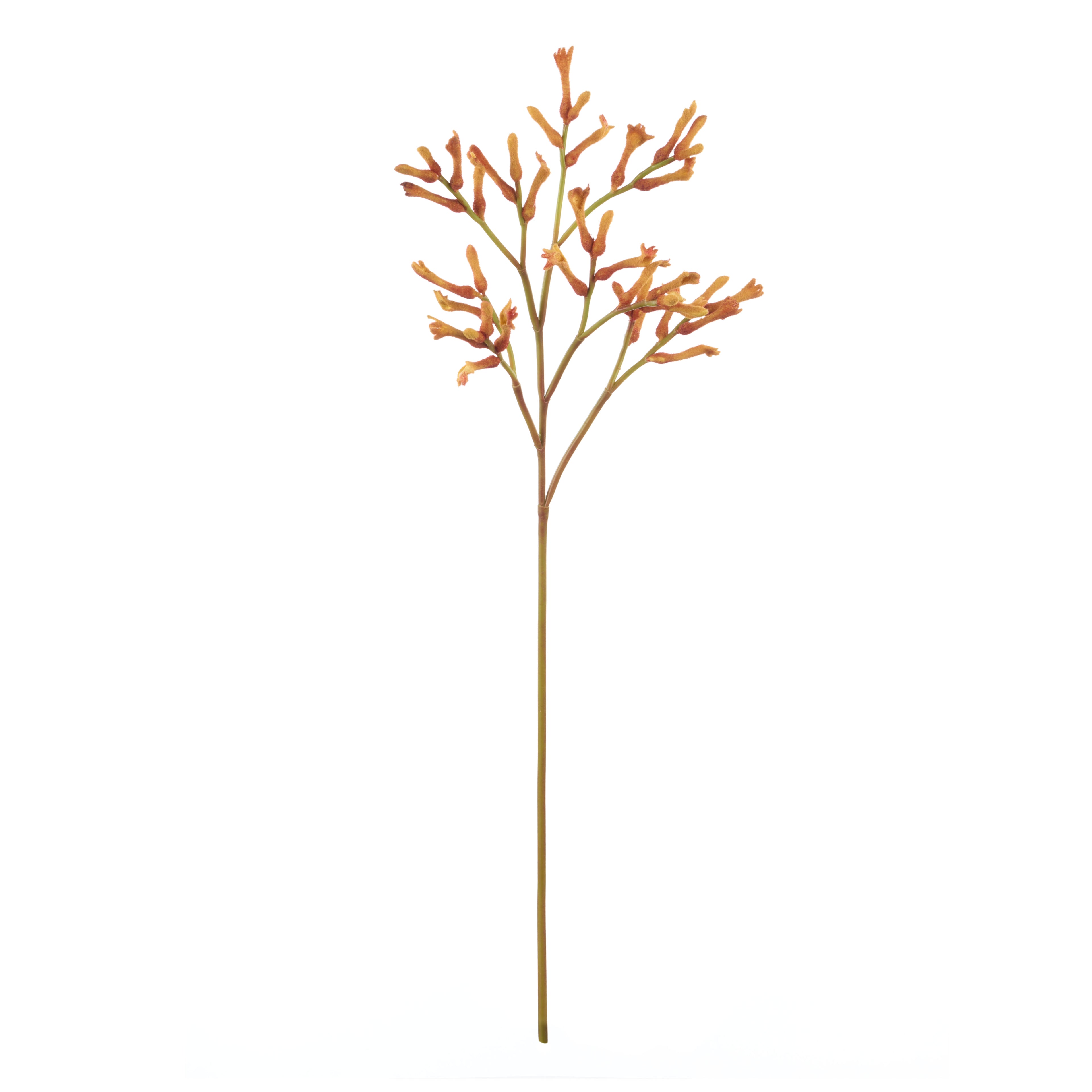 Faux Kangaroo Paw Spray | Orange - 77cm