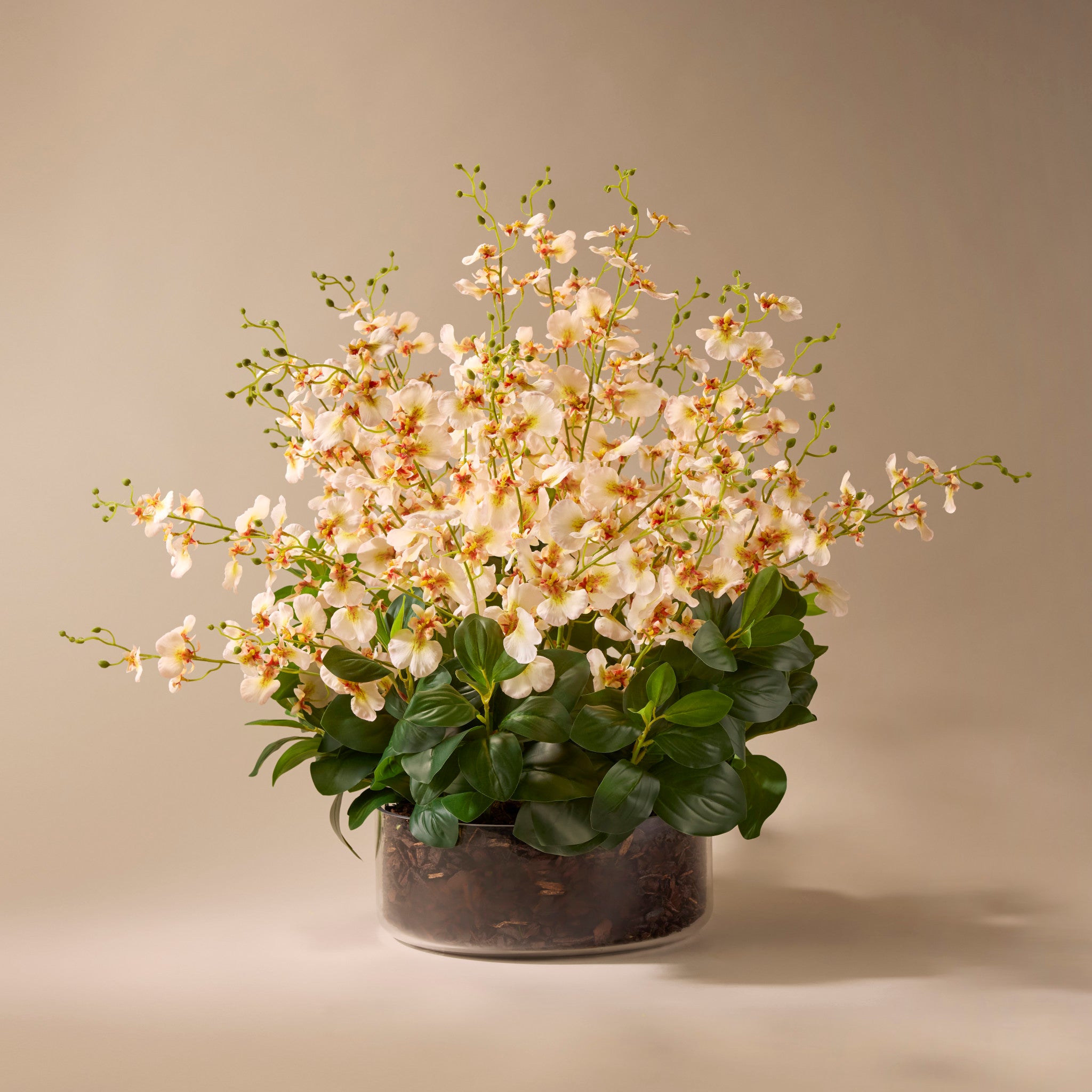 Faux Dancing Orchids - Madelyn Bowl | Cream - 67cm
