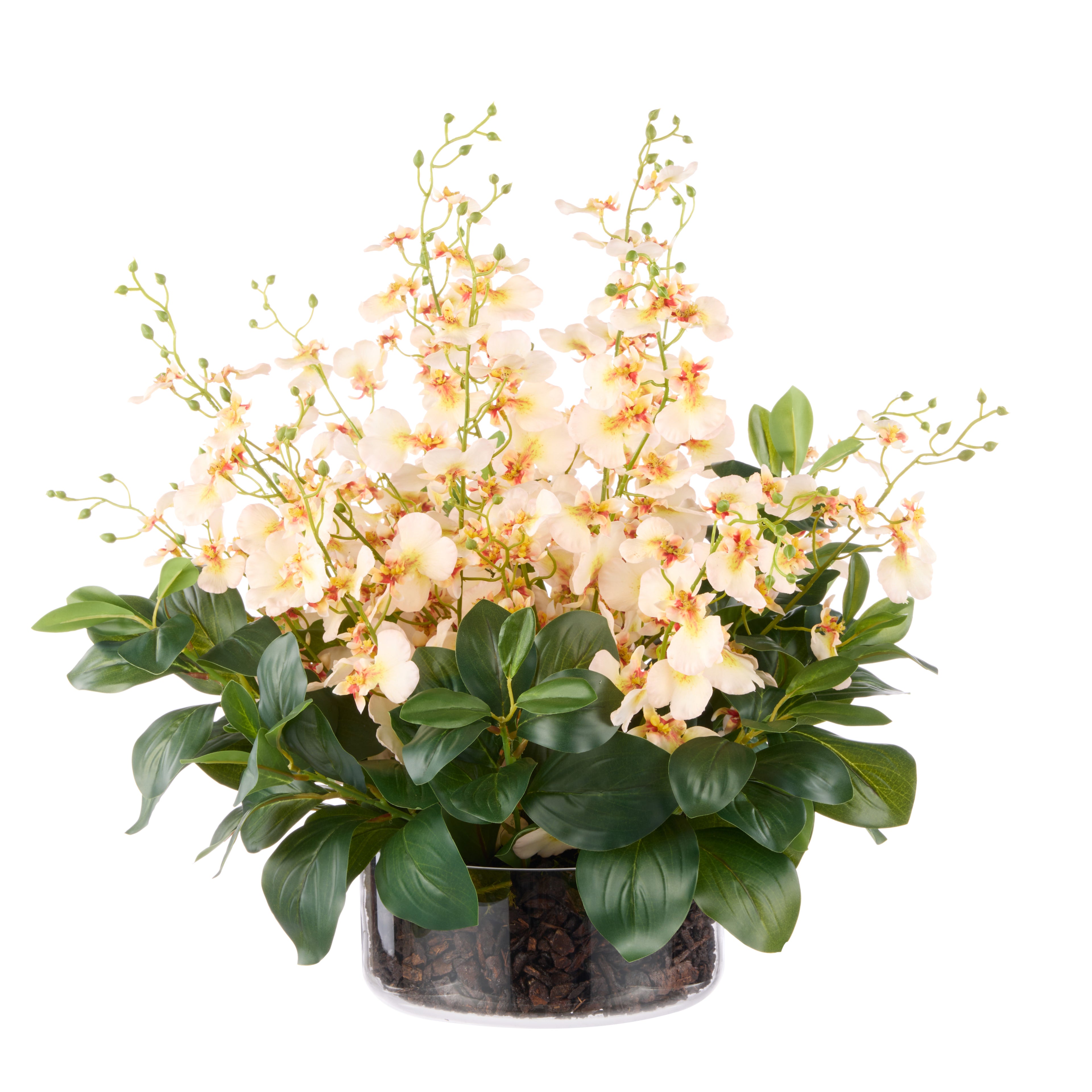 Faux Dancing Orchids - Madelyn Bowl | Cream - 58cm