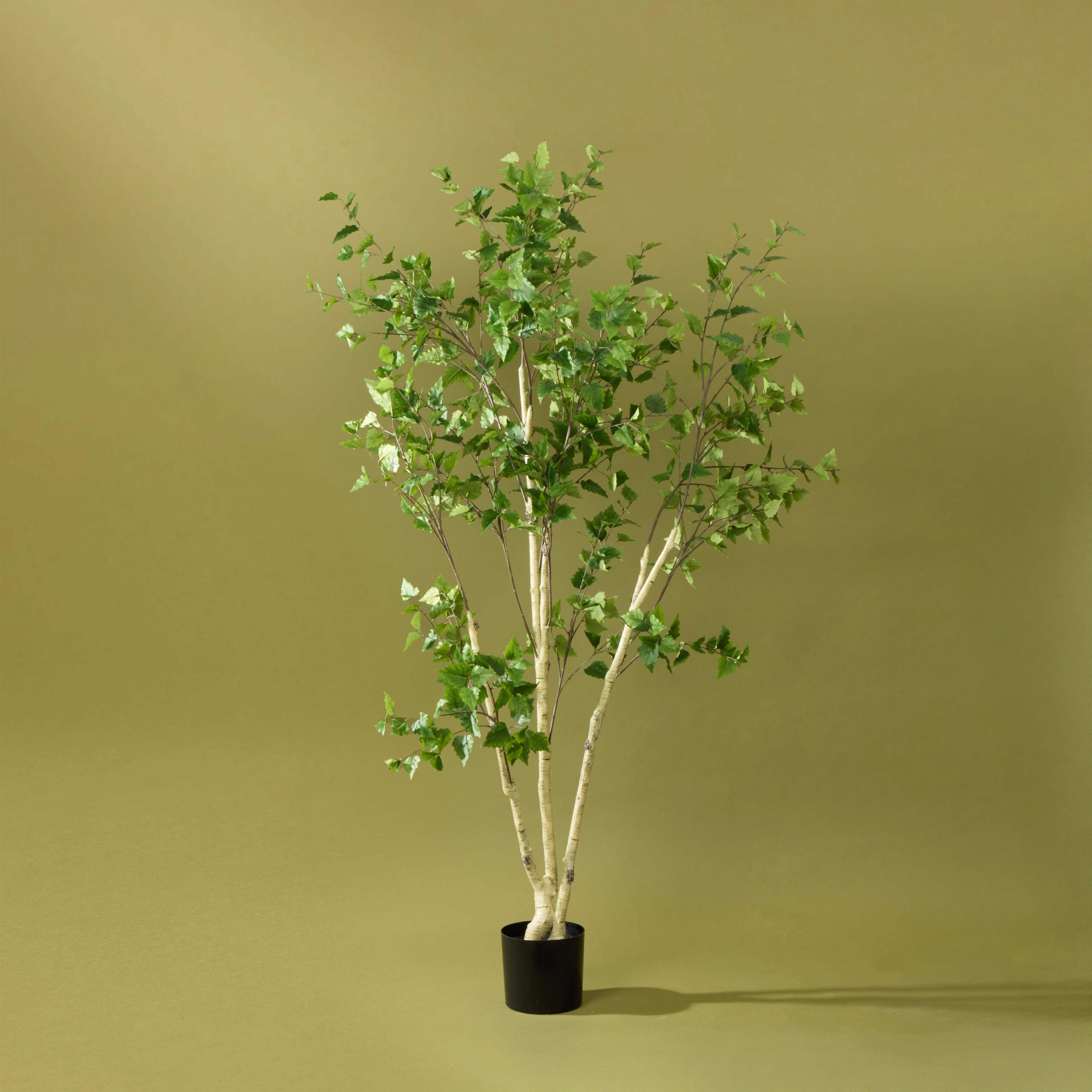 Faux Silver Birch Tree - Garden Pot | 208cm
