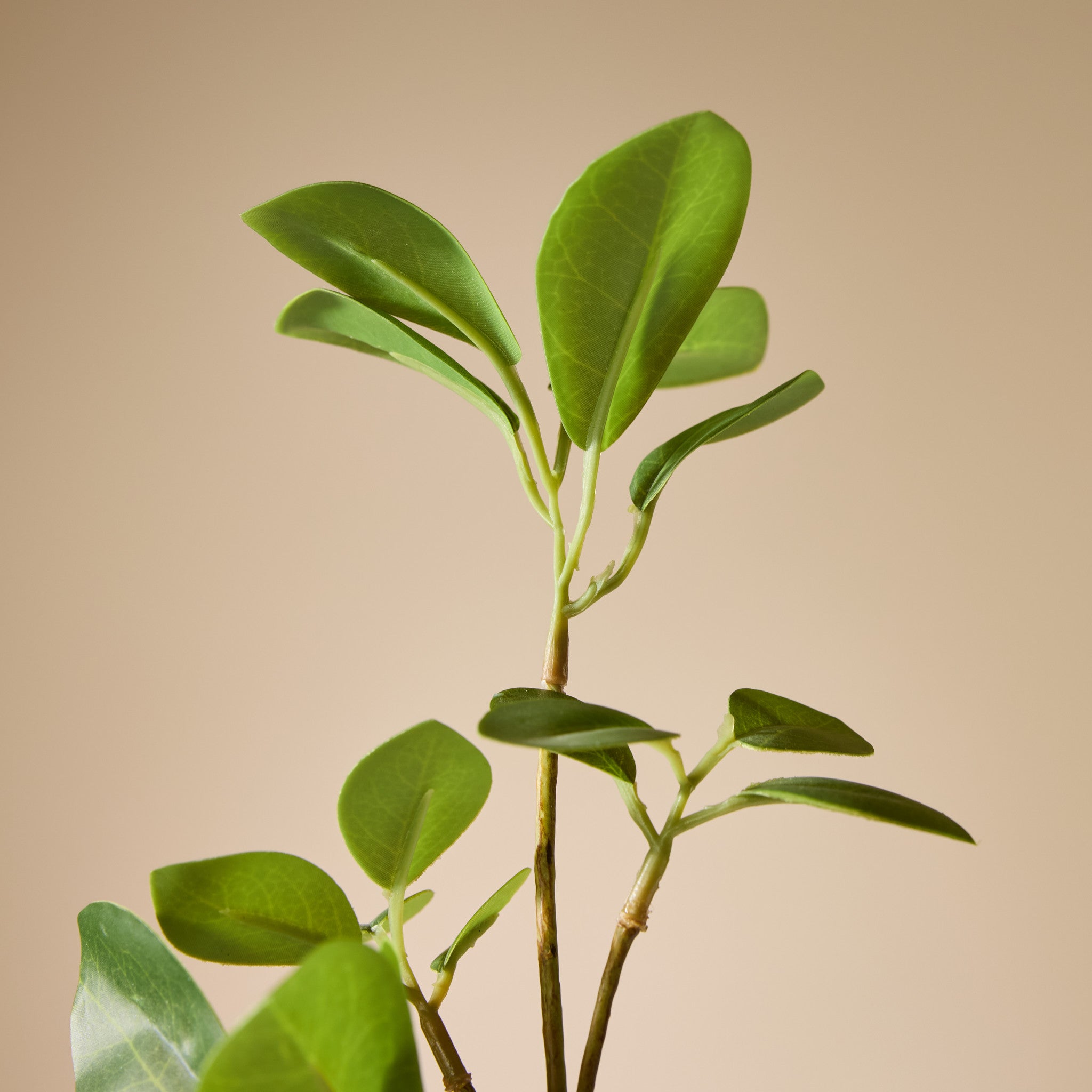 Faux Mini Leaf Spray | Green - 105cm