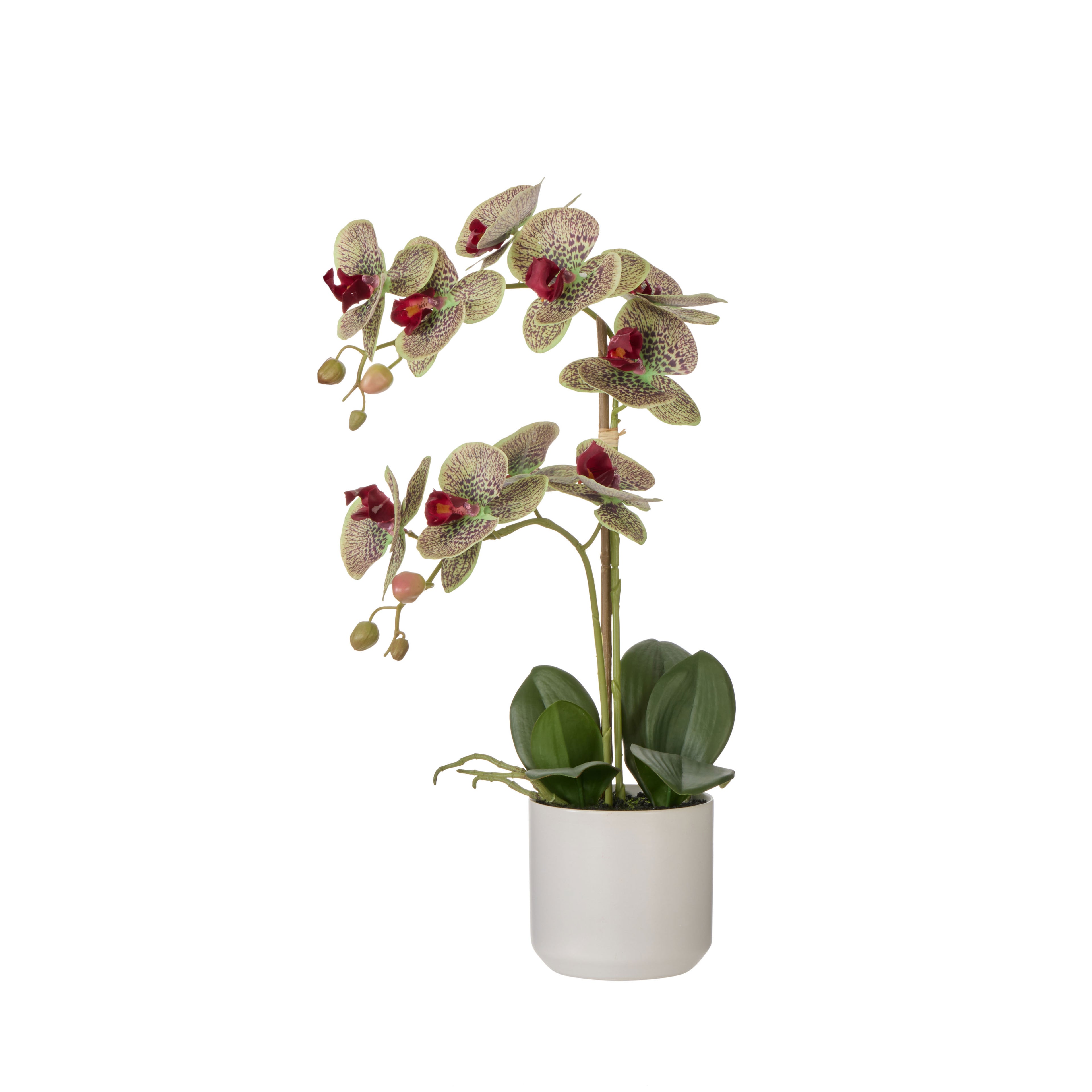 Faux Phalaenopsis Orchid Pot | Multi-Coloured - 56cm
