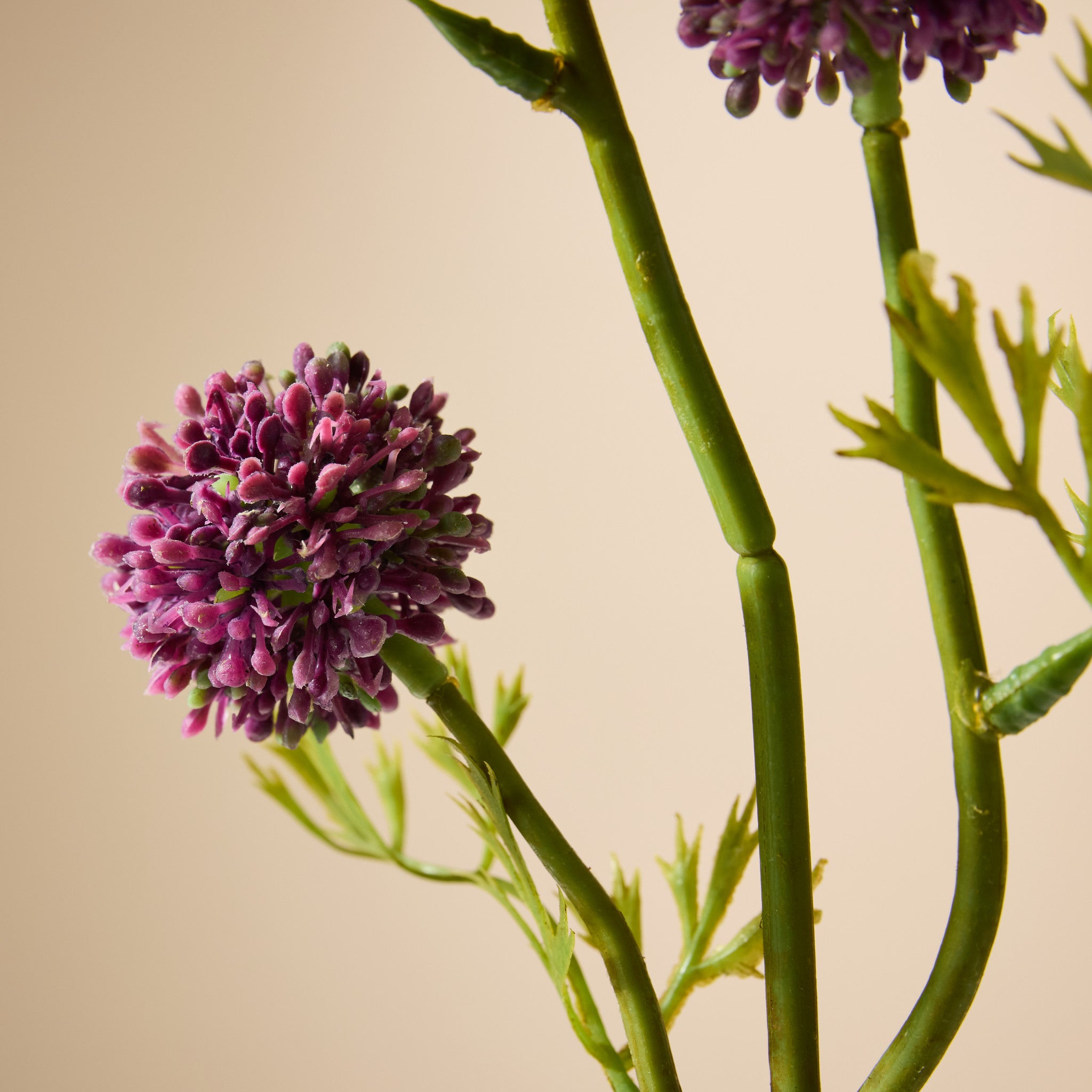 Faux Mini Allium Stem | Burgundy - 64cm