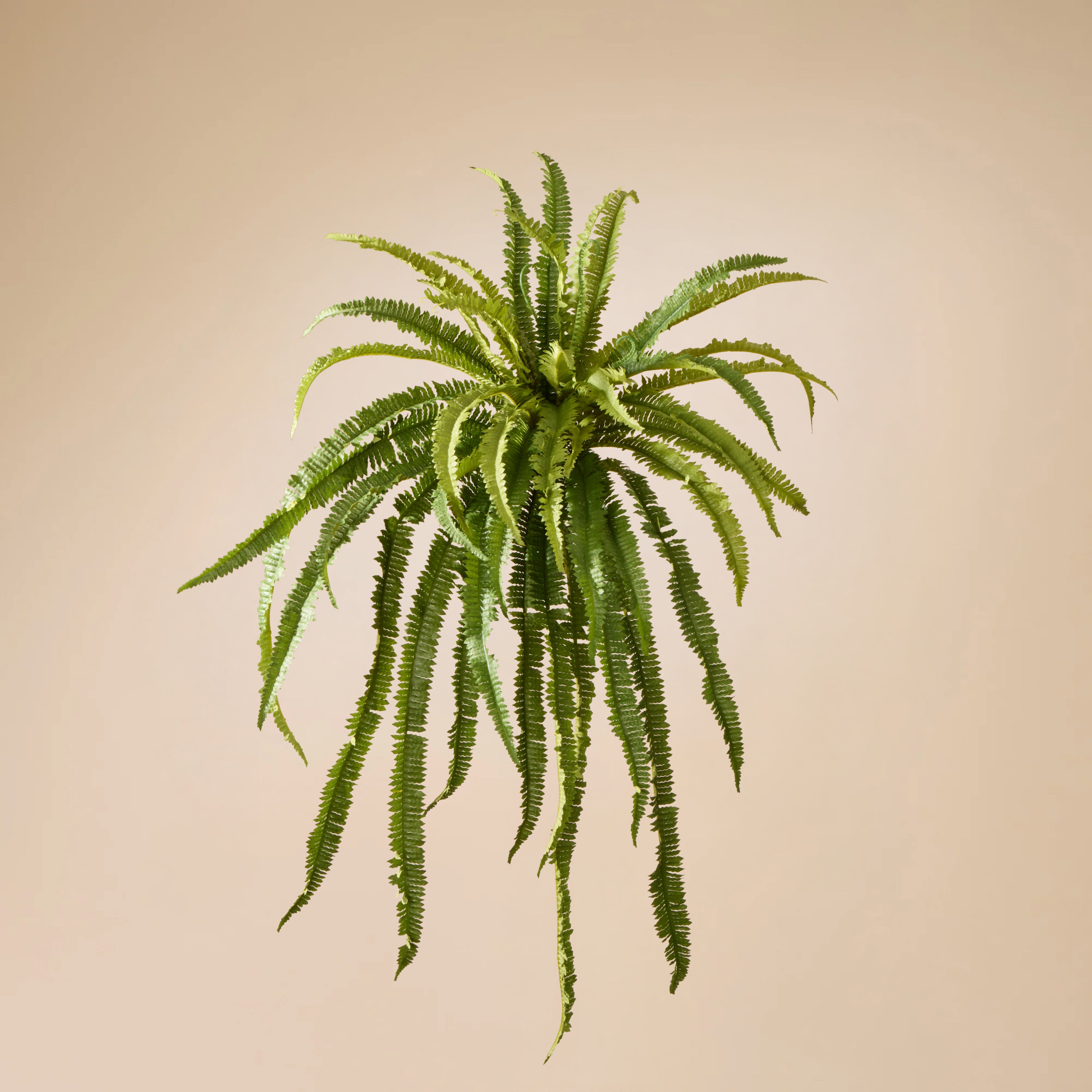 Faux Boston Wall Fern | Green - 90cm