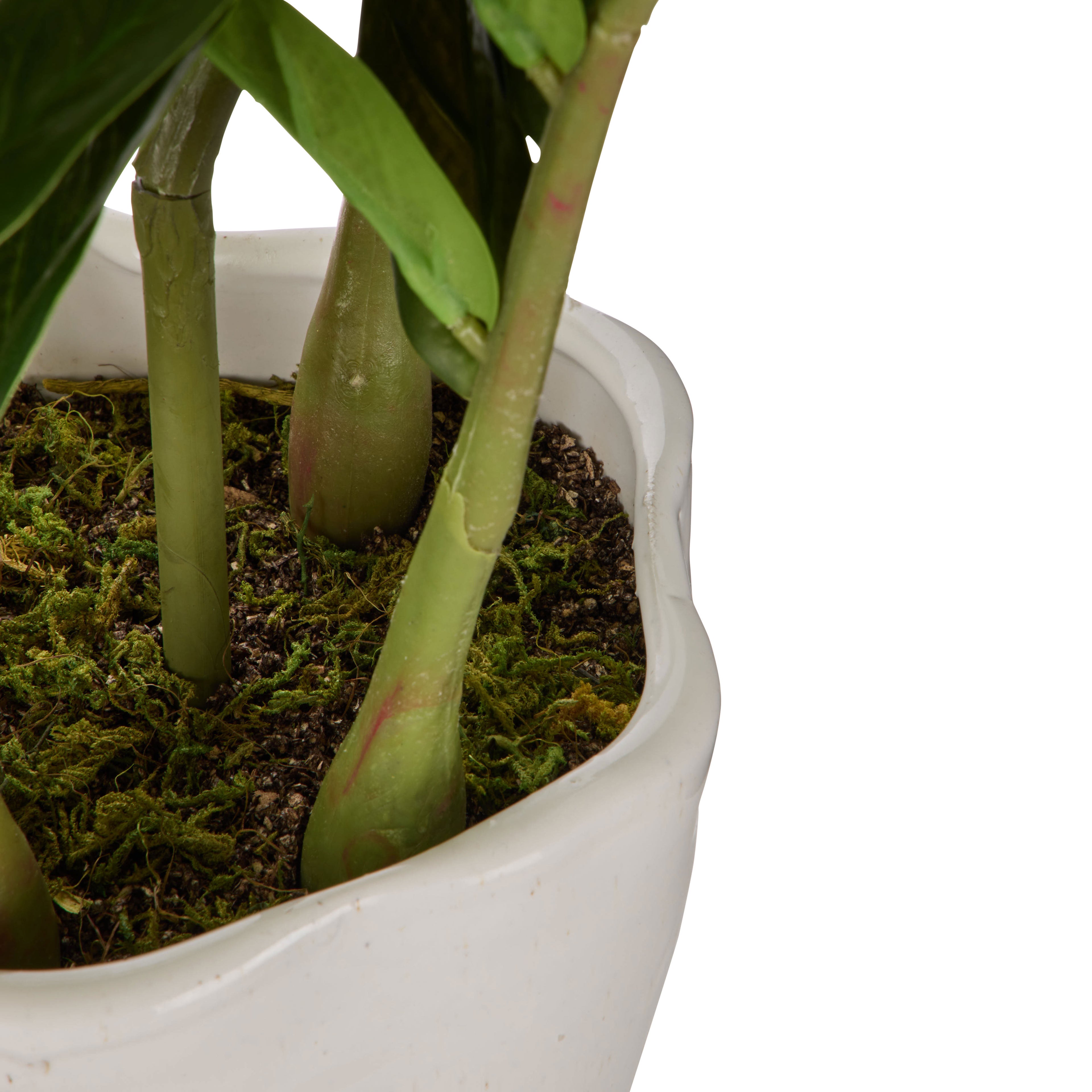 Faux Zanzibar - Nora Pot | Green - 64cm