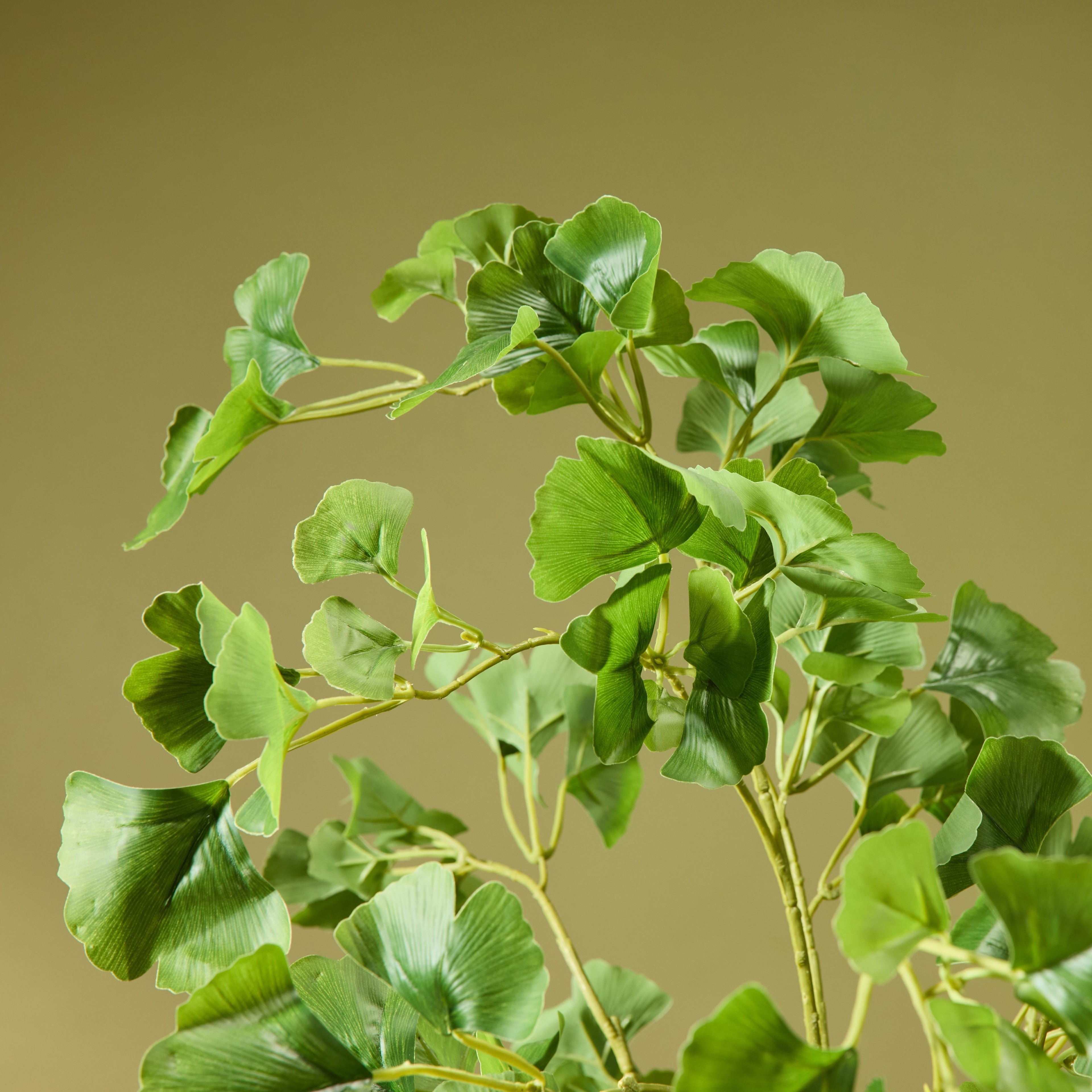 Faux Ginkgo Tree - Garden Pot | 173cm