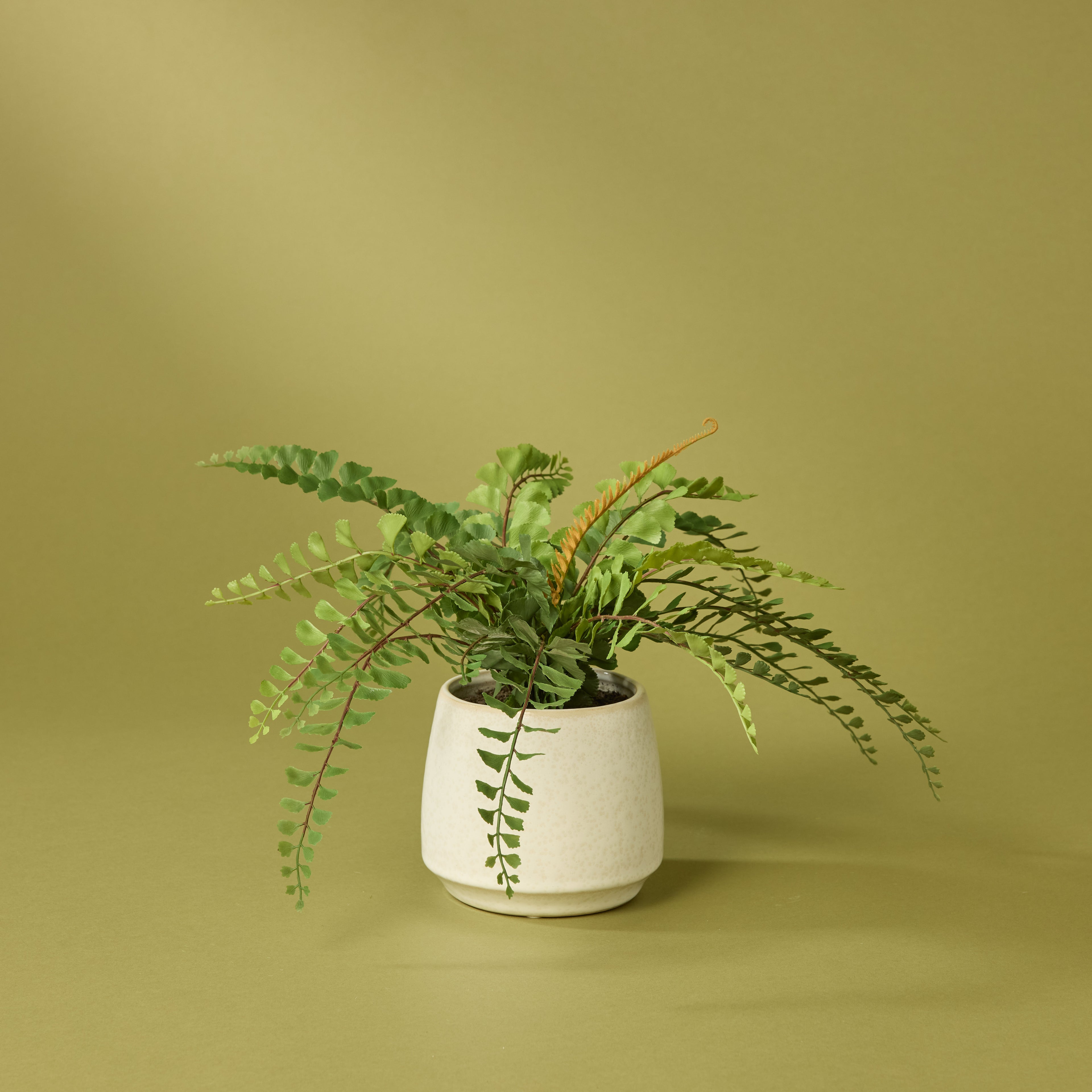Faux Jewel Fern - Gianna Pot | White - 24cm