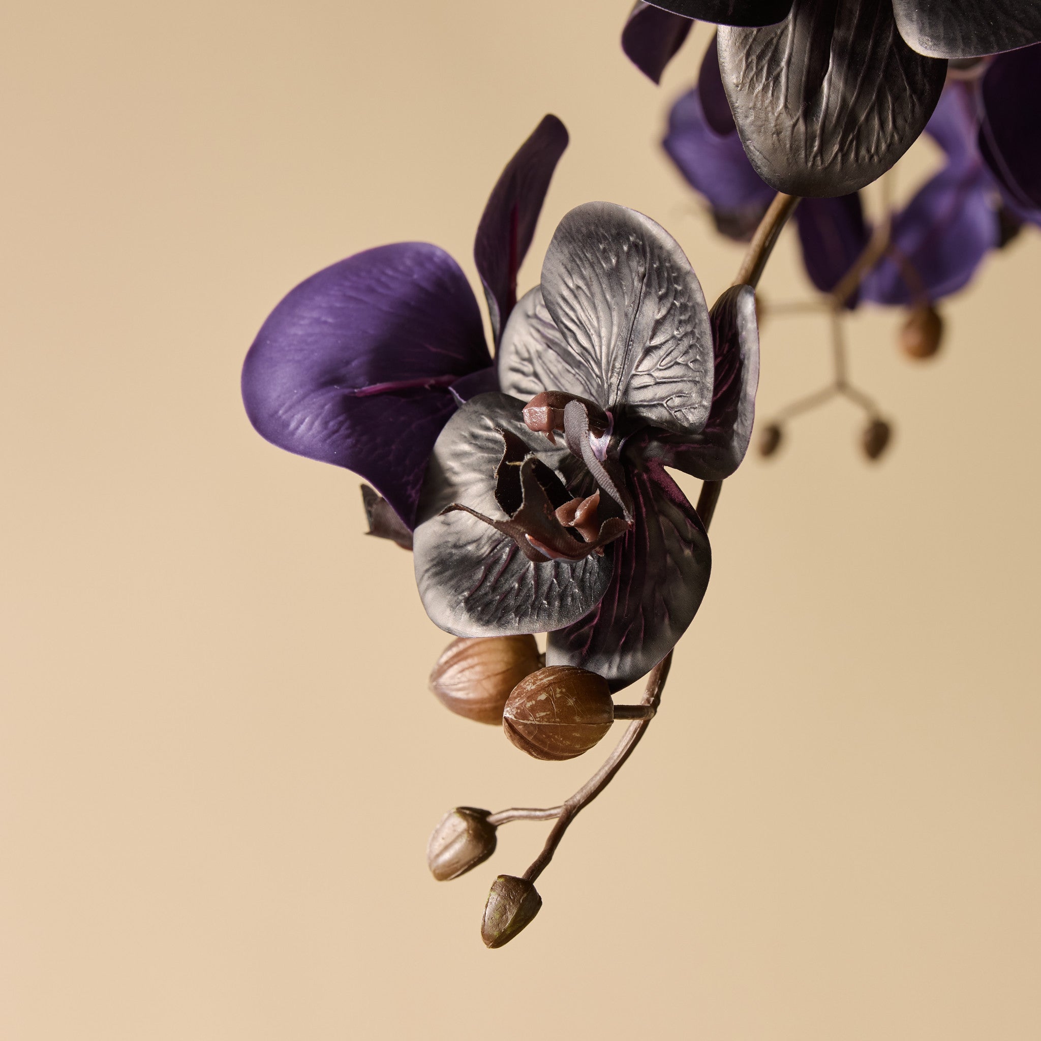 Faux Phalaenopsis Orchid - Vienna Tall Planter | Black - 157cm