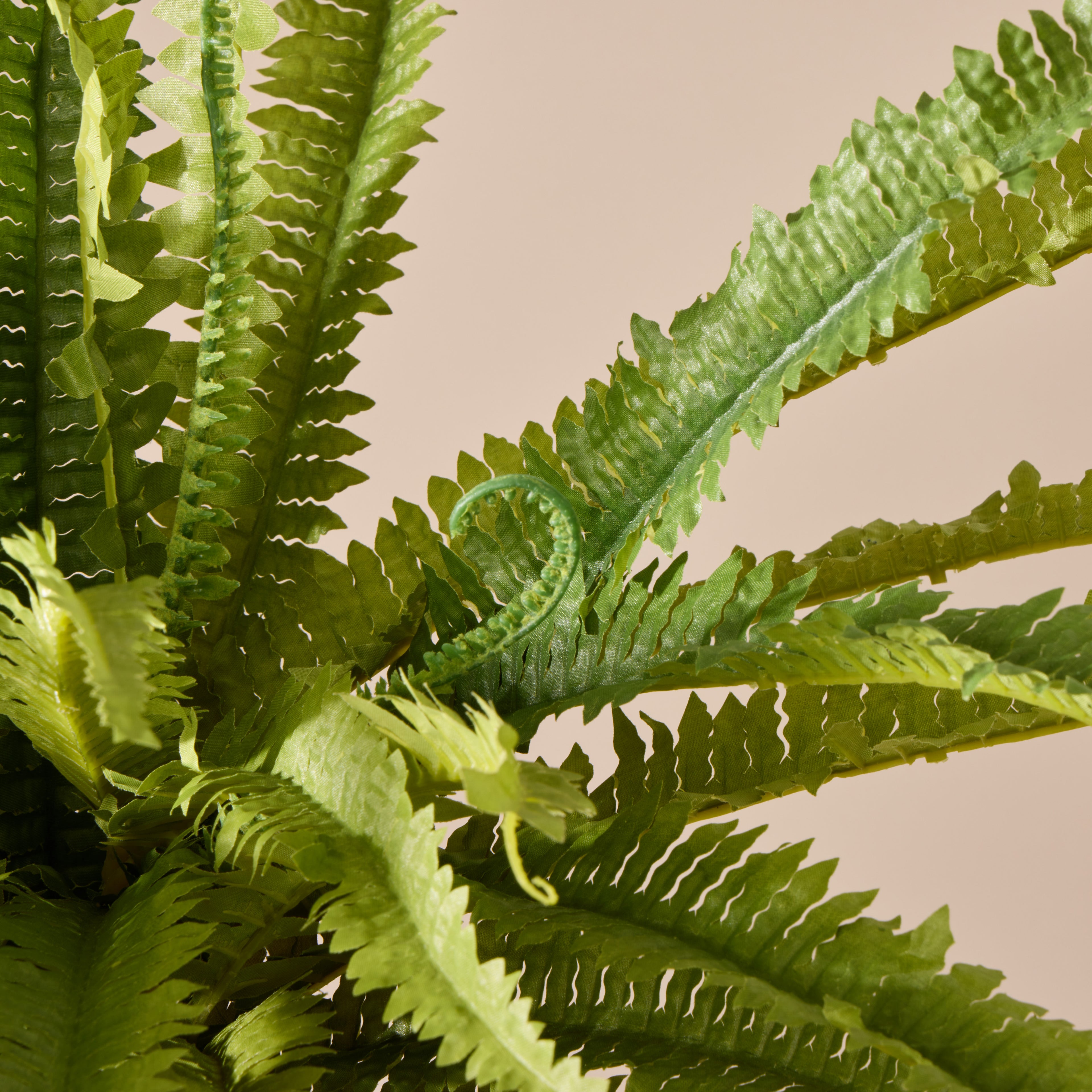 Faux Boston Wall Fern | Green - 90cm