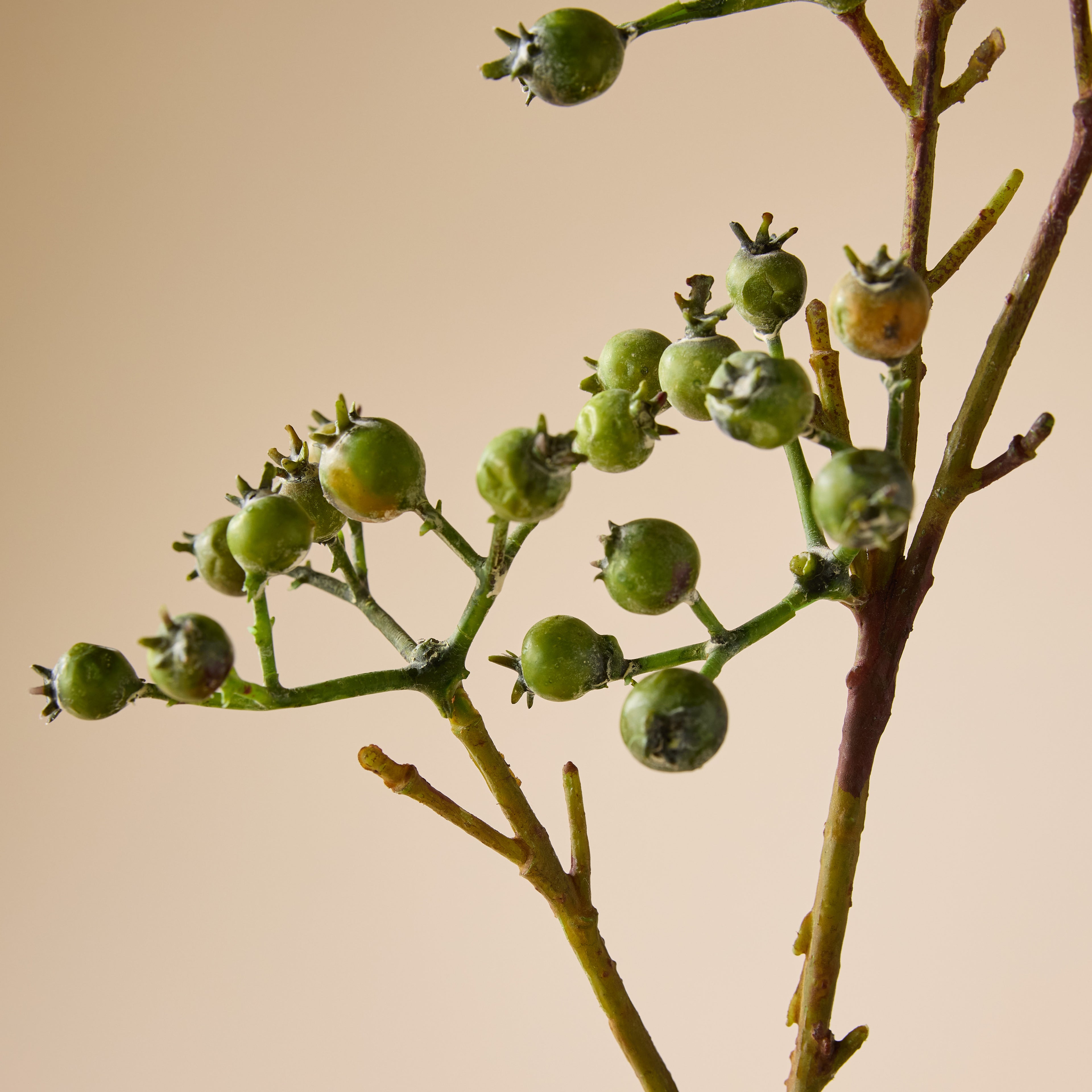 Faux Green Berries Spray | Green - 64cm
