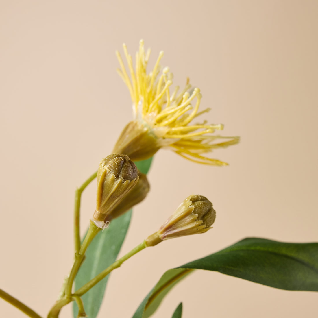 Faux Eucalyptus Flower Spray | Yellow - 62cm