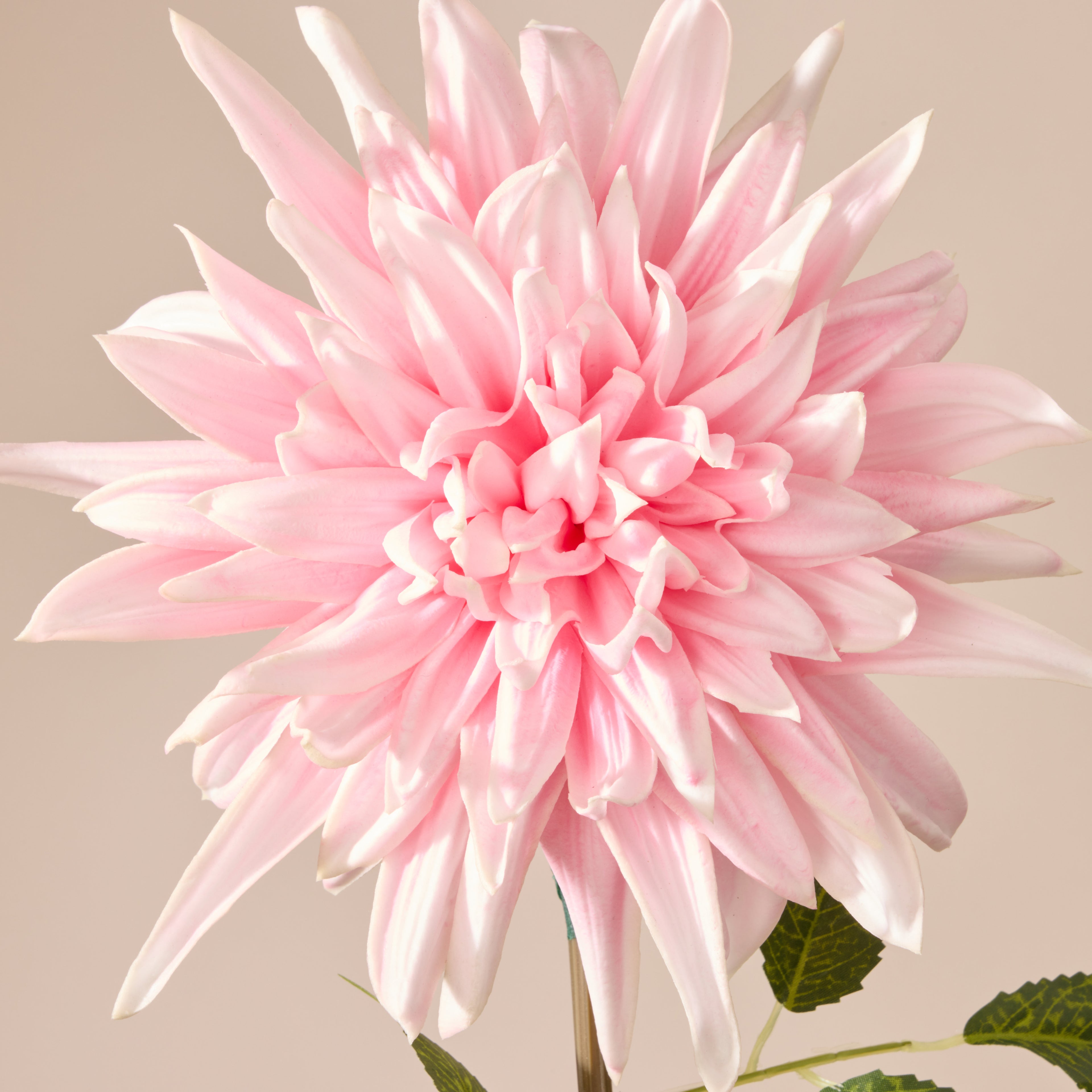 Faux Dahlia Stem | Pink - 88cm