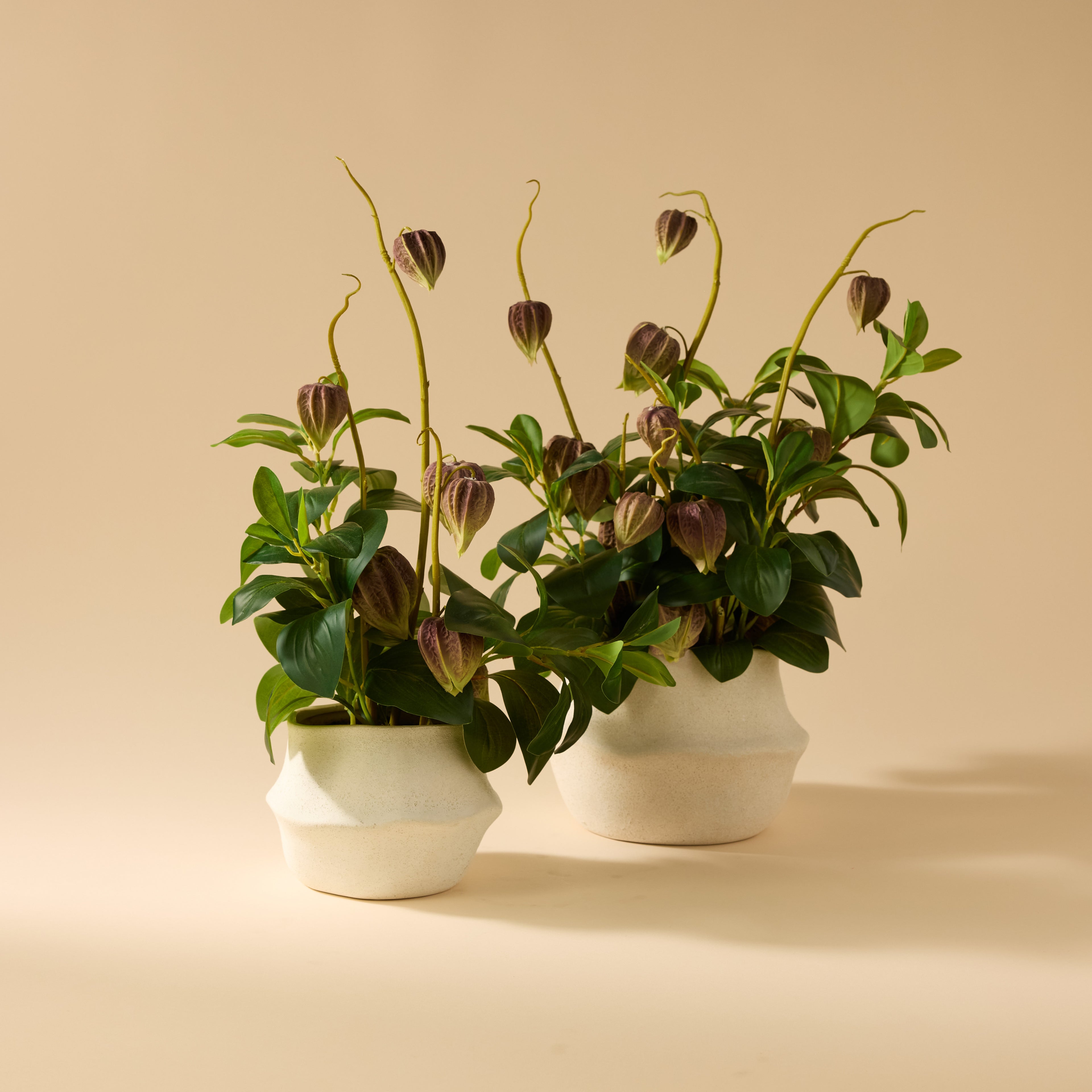 Faux Chinese Lantern Lush Leaf - Maliah Pot Wide | Green - 55cm