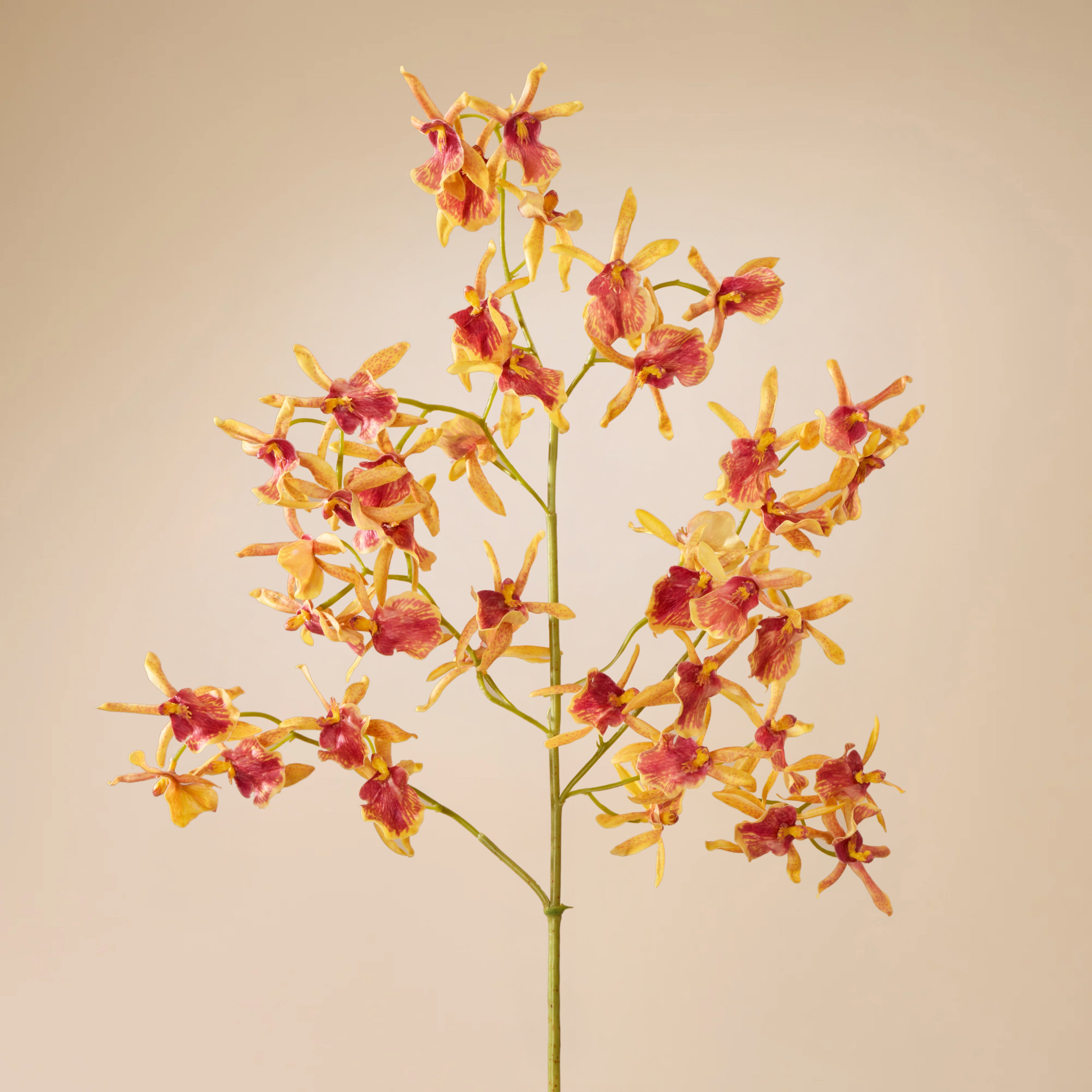 Faux Dendrobium Orchid | Orange - 104cm