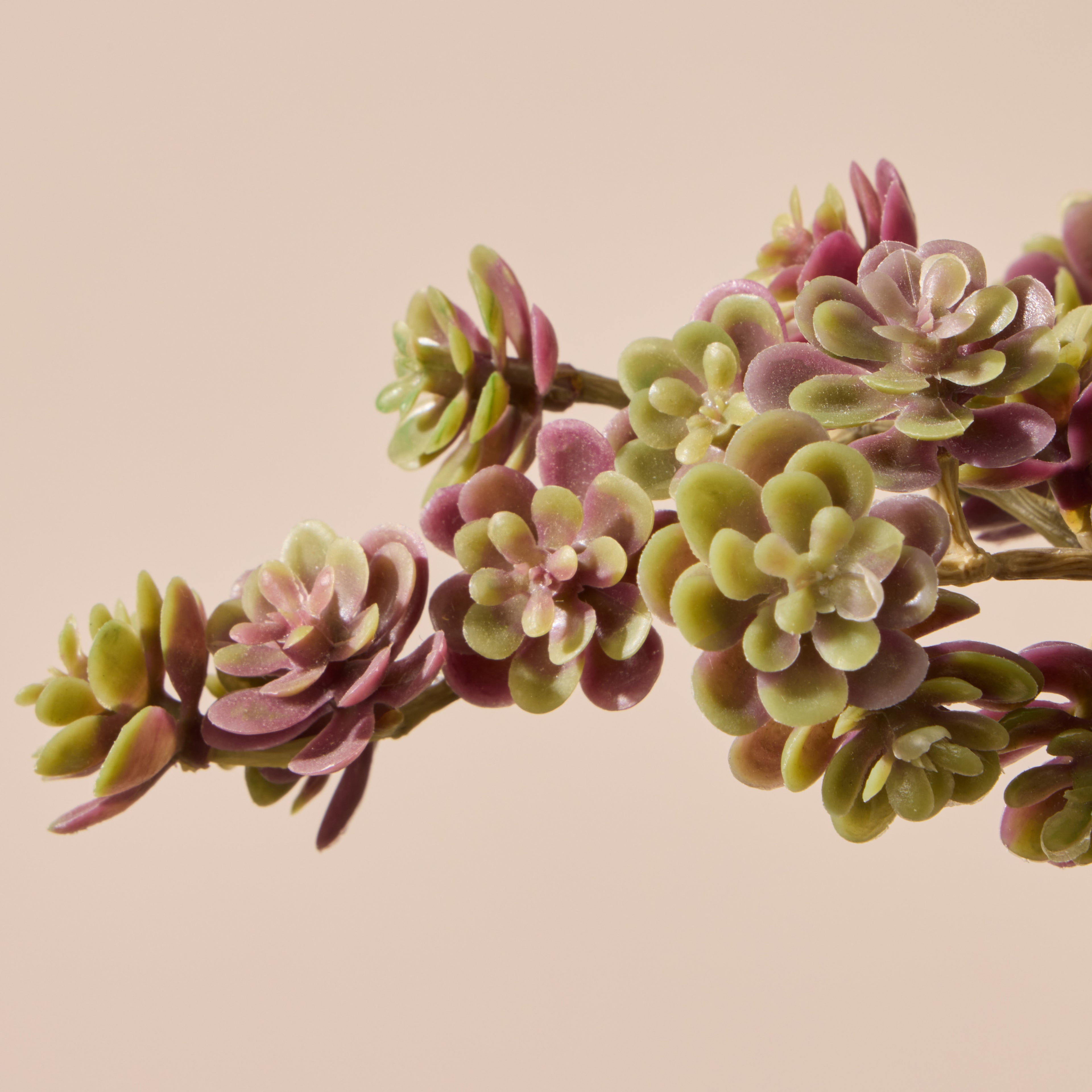 Faux Mini Houseleek Spray | Burgundy - 15cm