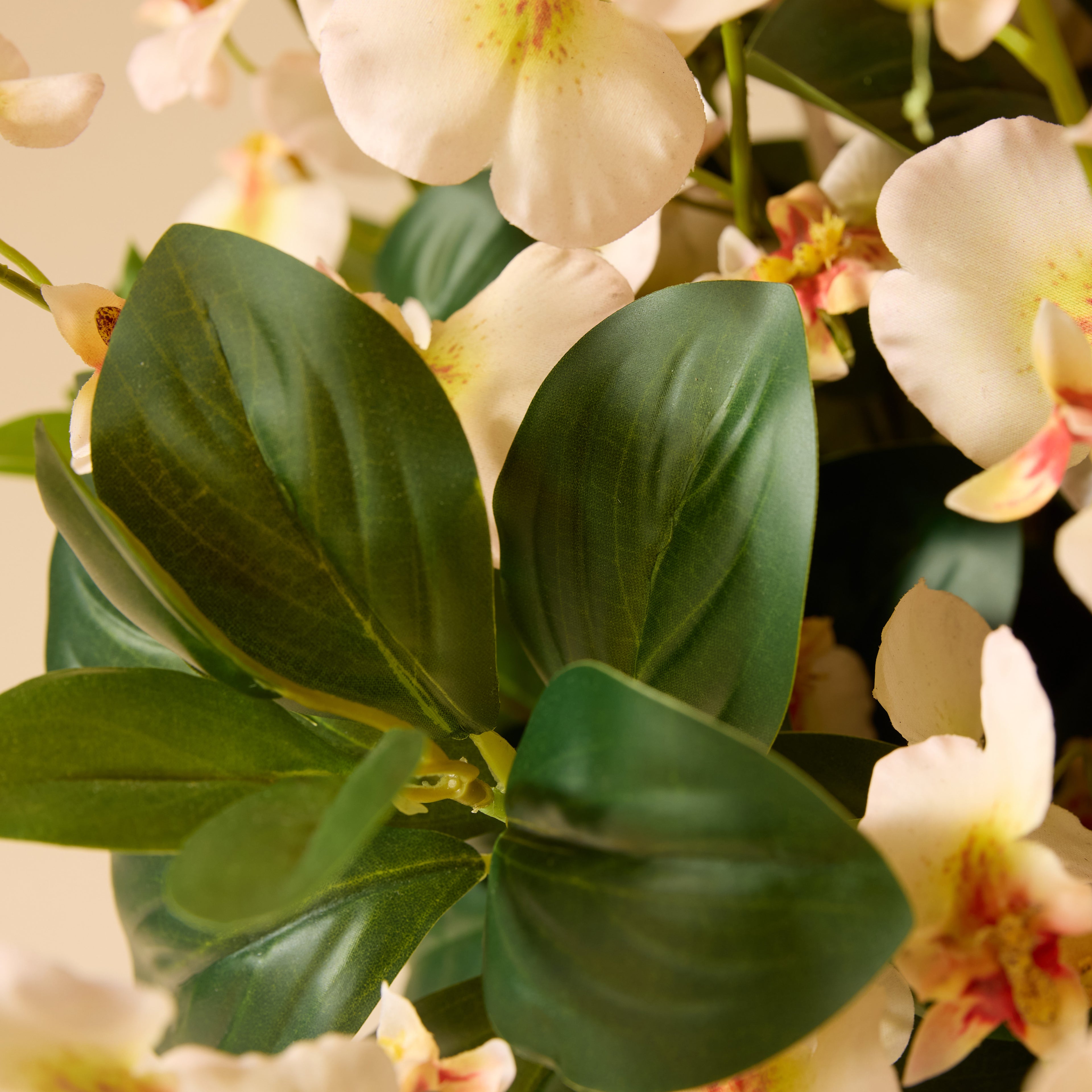 Faux Dancing Orchids - Madelyn Bowl | Cream - 58cm