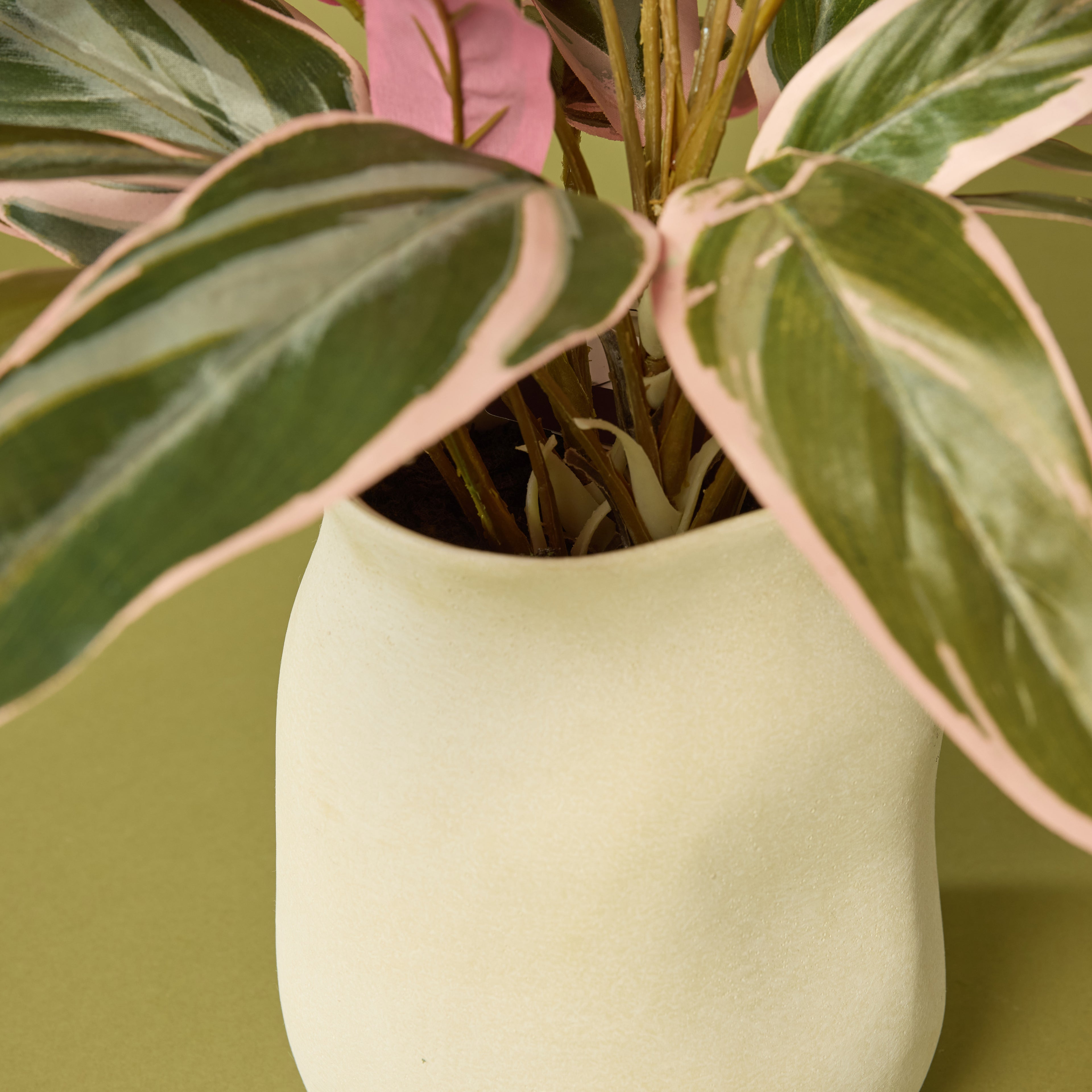 Faux Cordyline Plant - Maliah Pot | Cream - 39cm
