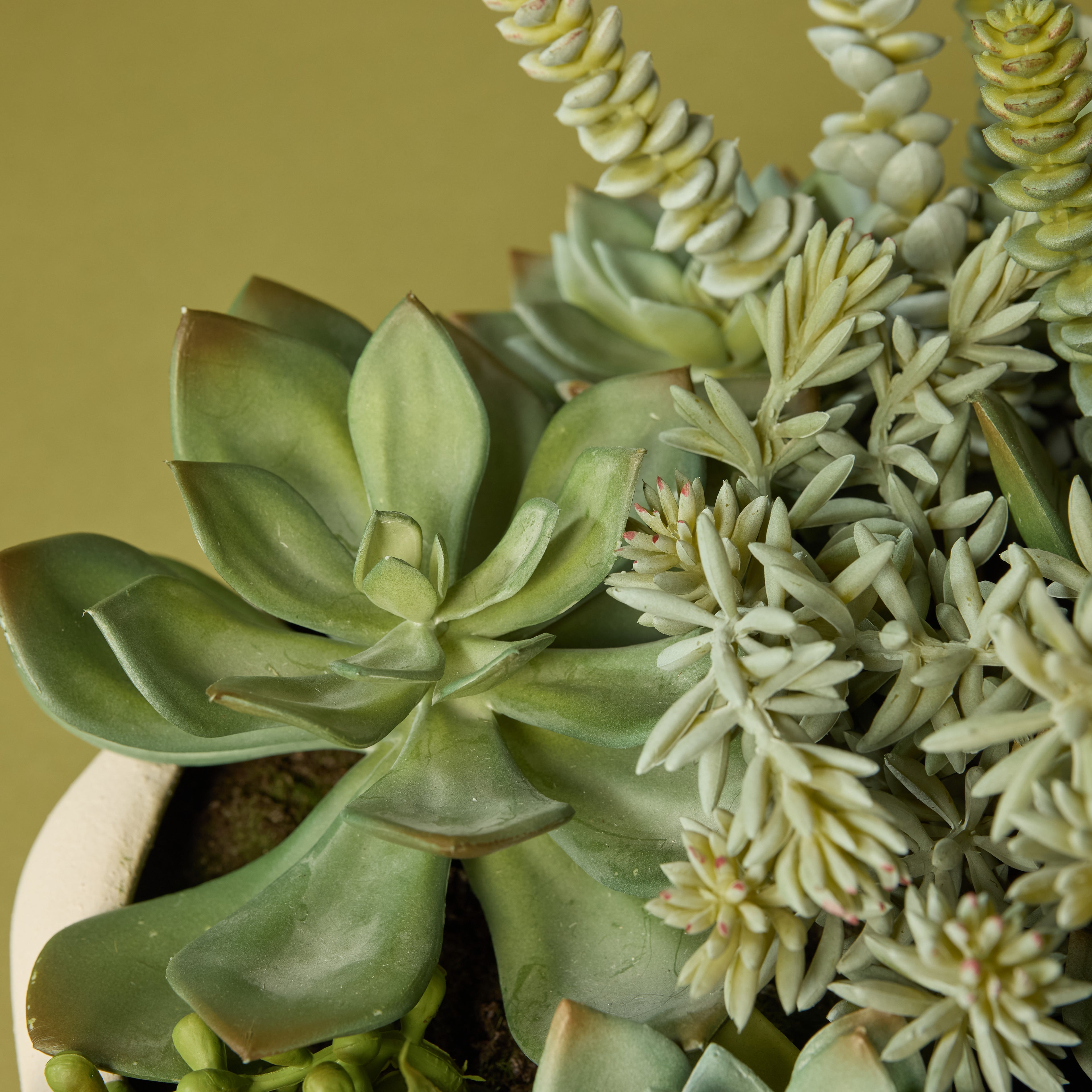 Faux Succulent Garden - Lyon Bowl Planter | Cream - 27cm