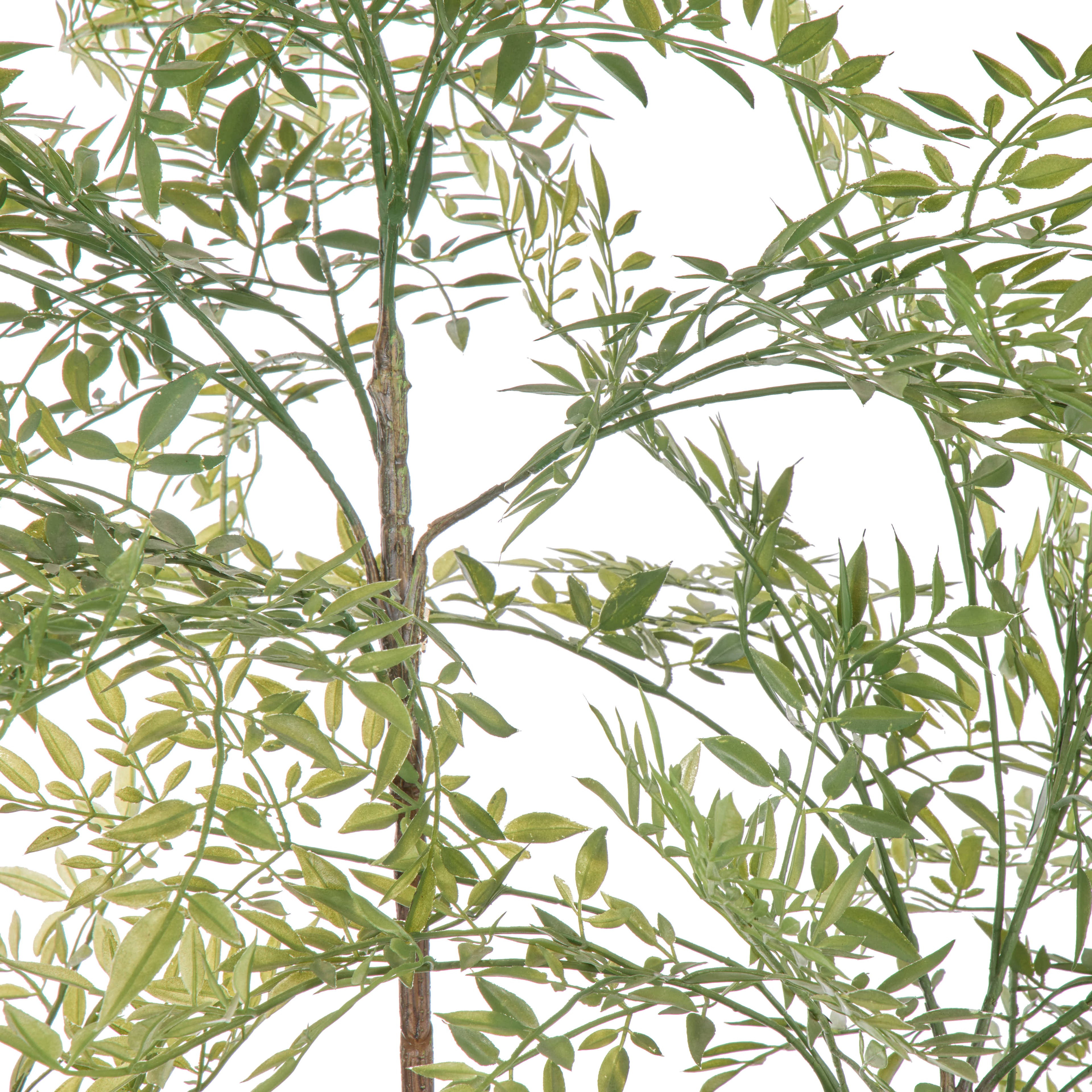 Faux Ficus Tree - Trillium Planter | Green - 184cm