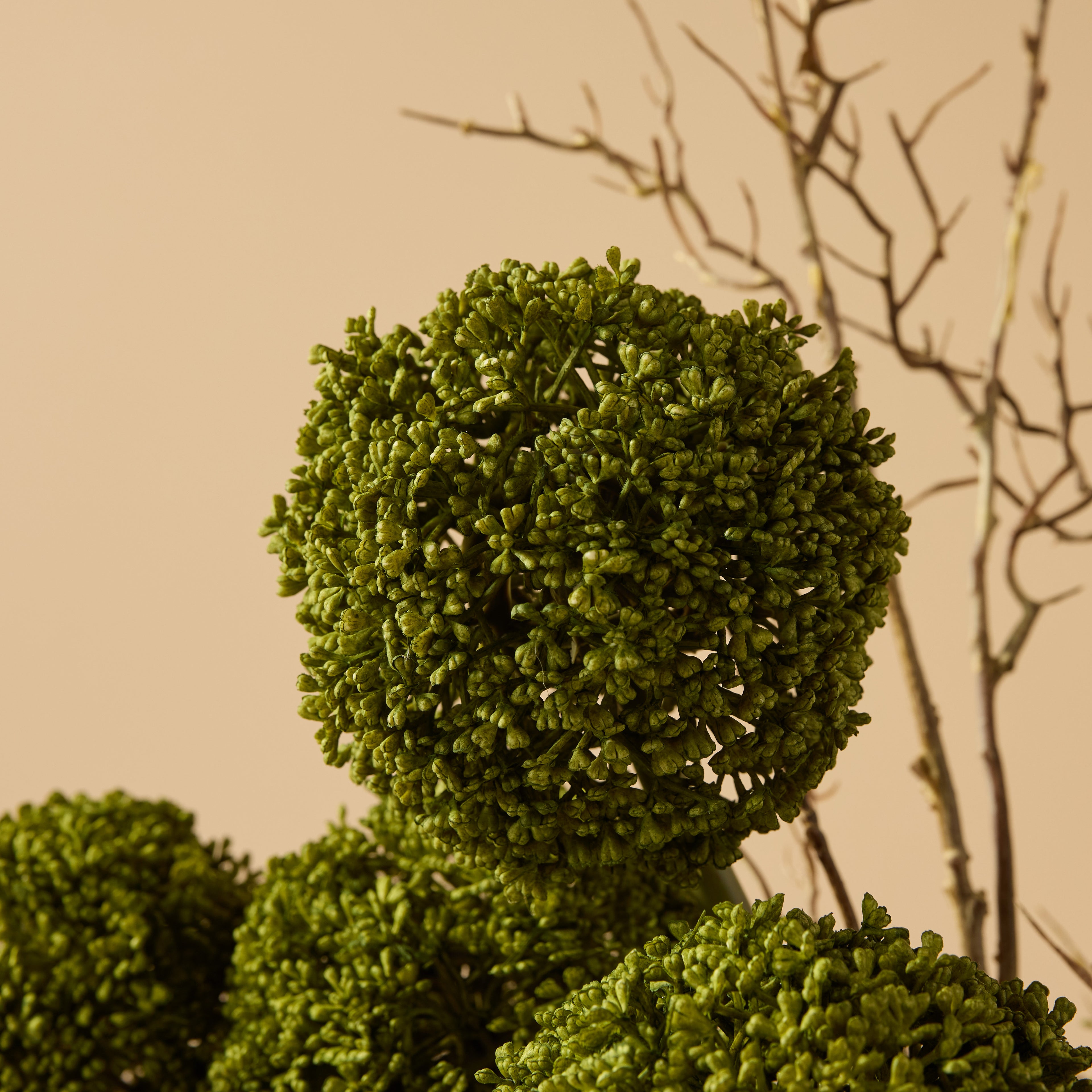 Faux Allium Spray Arrangement - Maliah Pot Cream | Green - 65cm