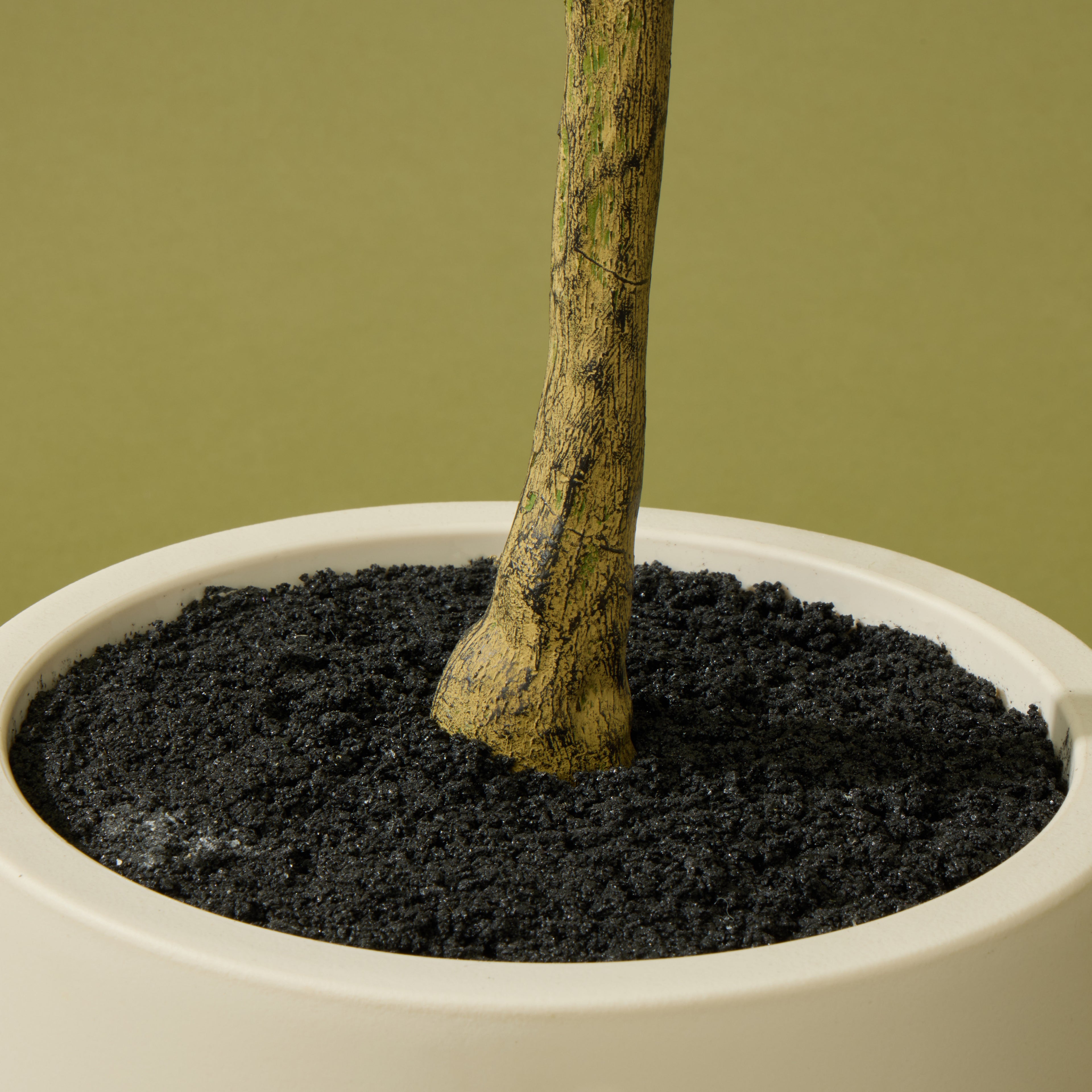 Faux Ficus Tree - White Pot | 150cm