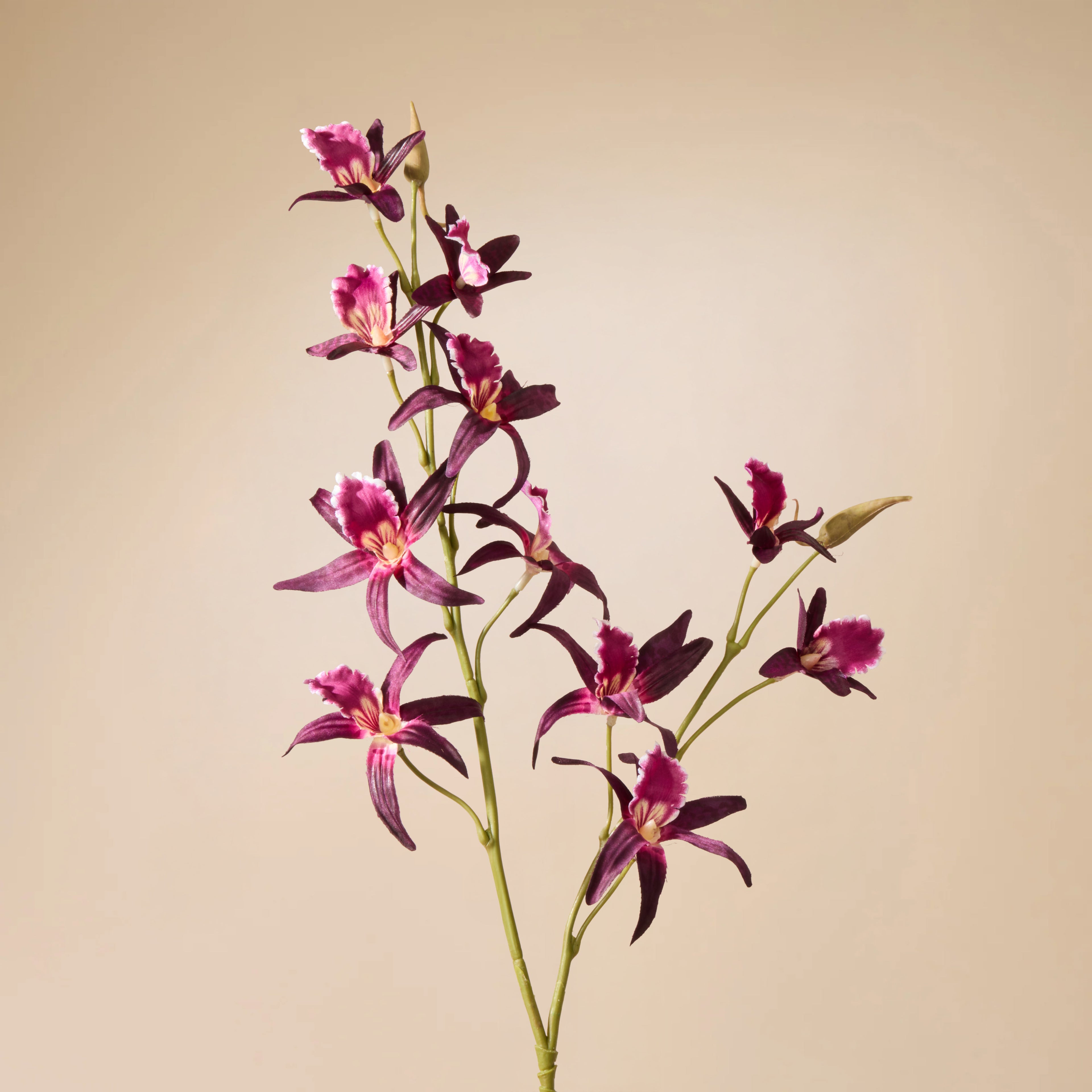 Faux Dendrobium Spray | Burgundy - 92cm