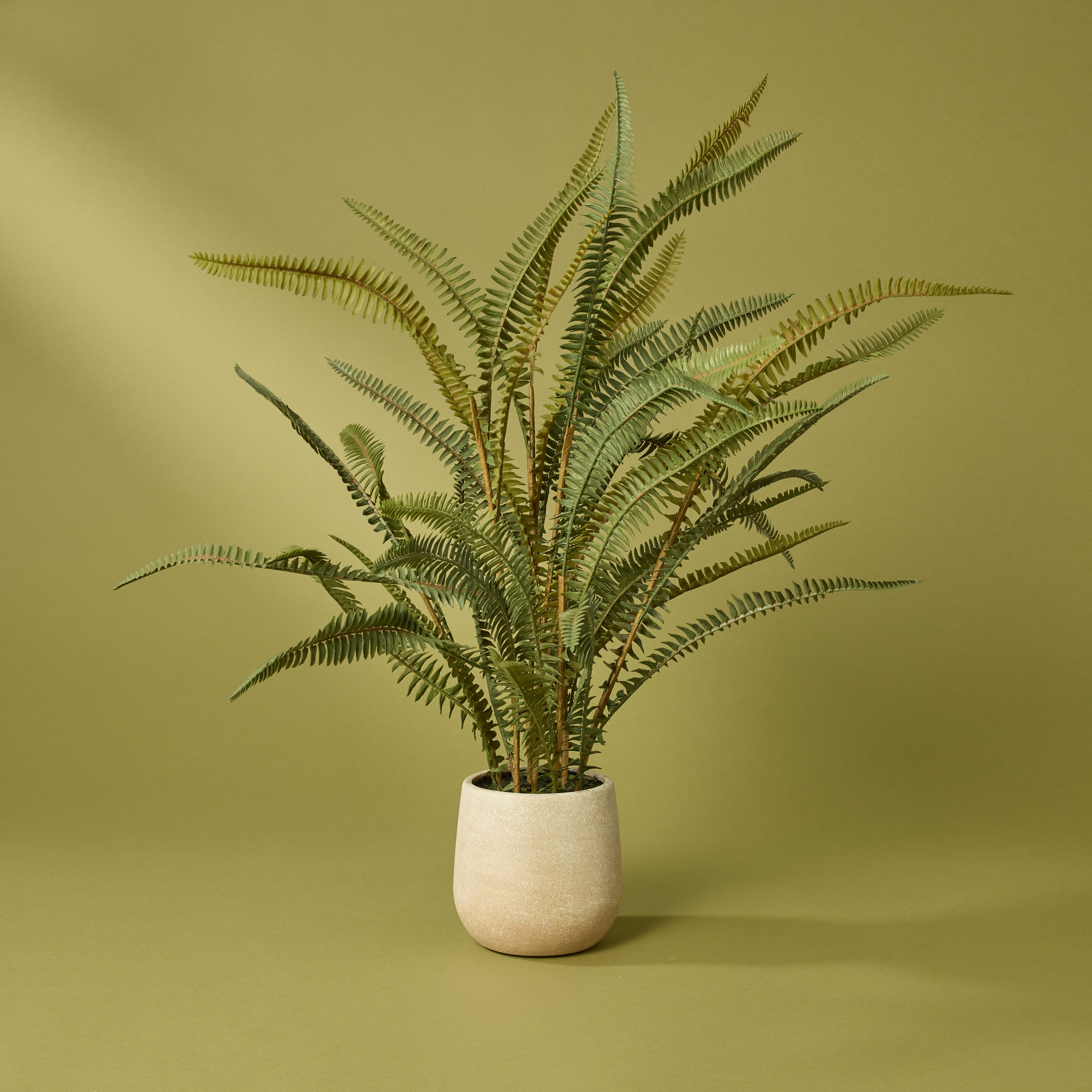 Faux Boston Fern - White Pot | 71cm