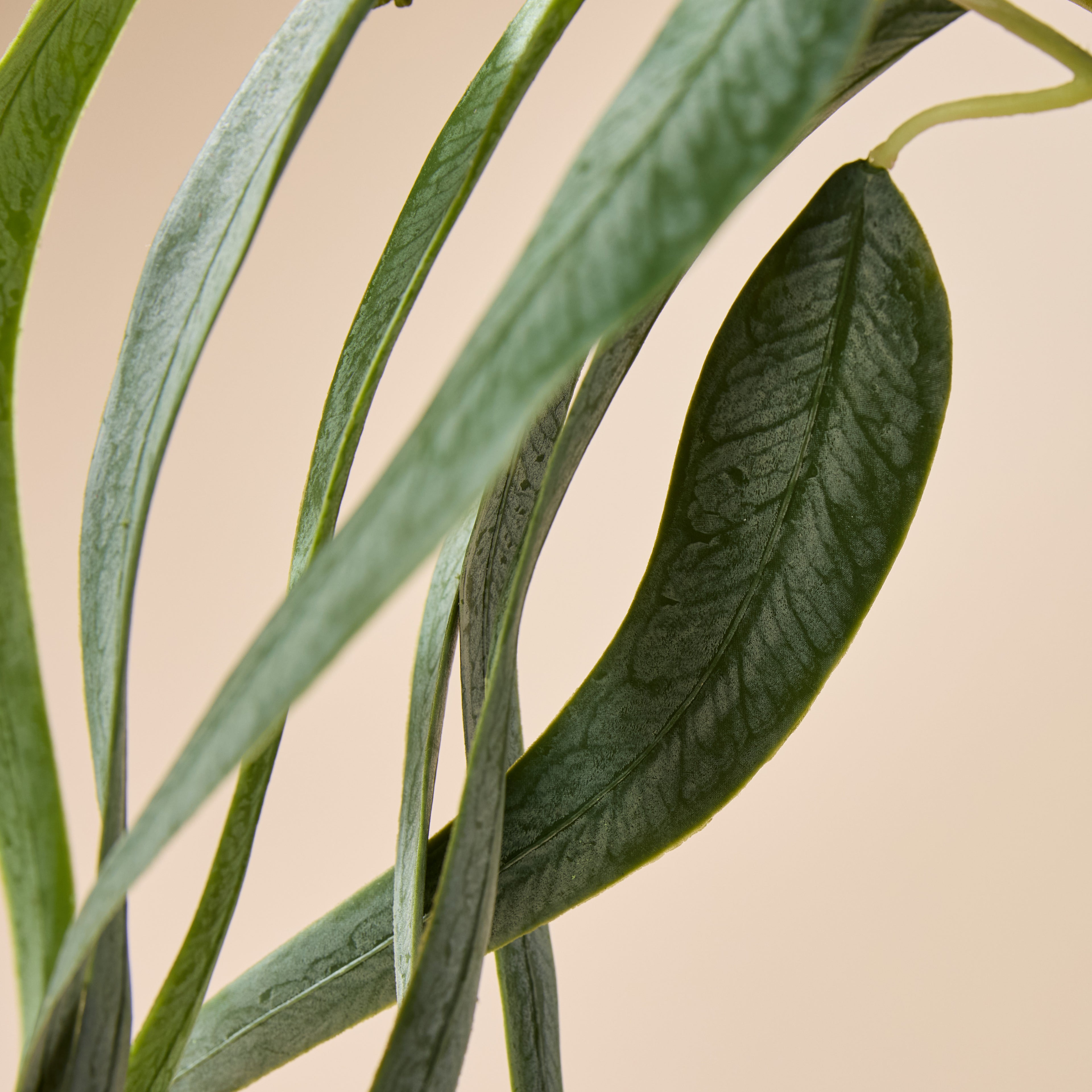 Faux Eucalyptus Gumnut Bunch | Green - 64cm