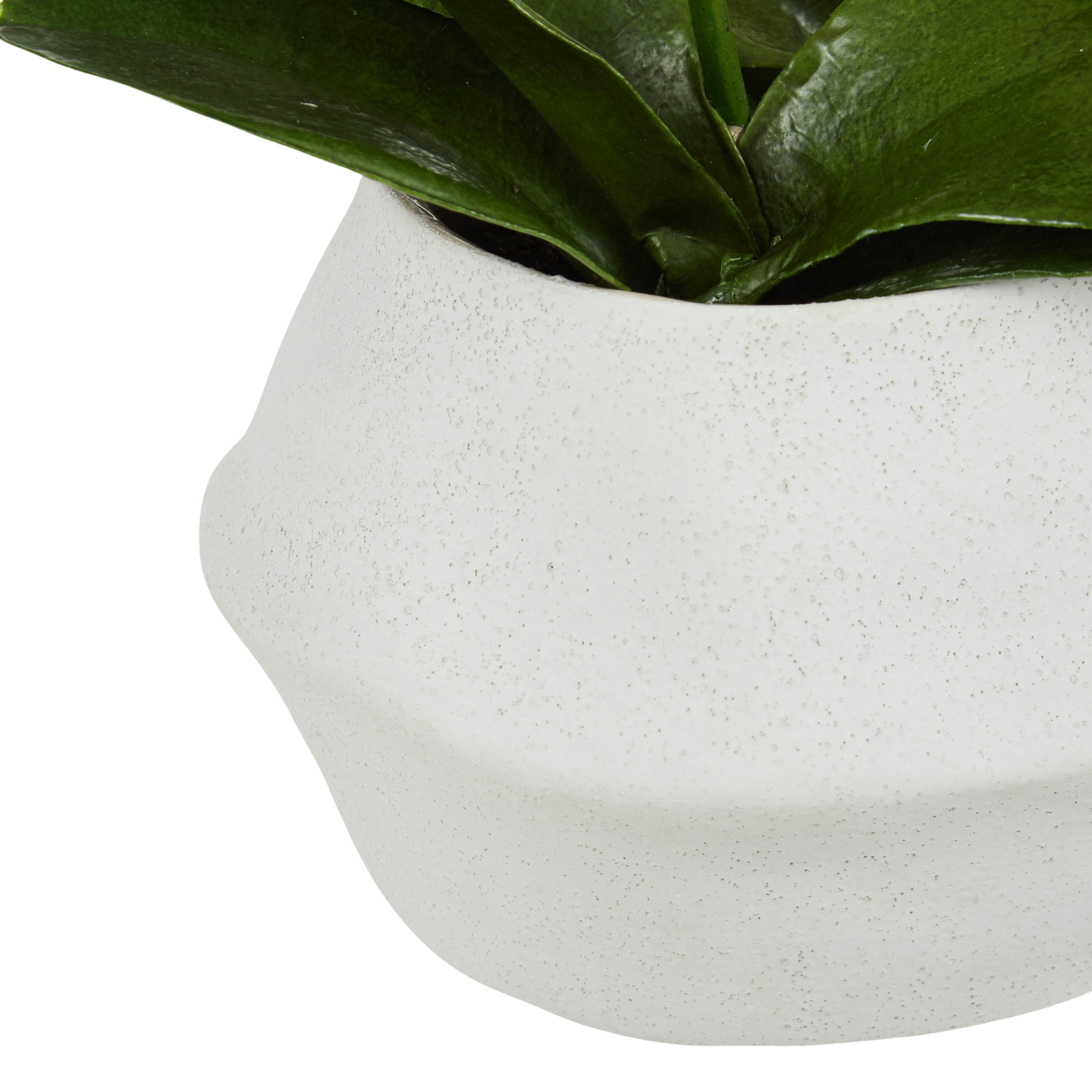 Faux Phalaenopsis Orchid Plant - Maliah Pot | White - 45cm