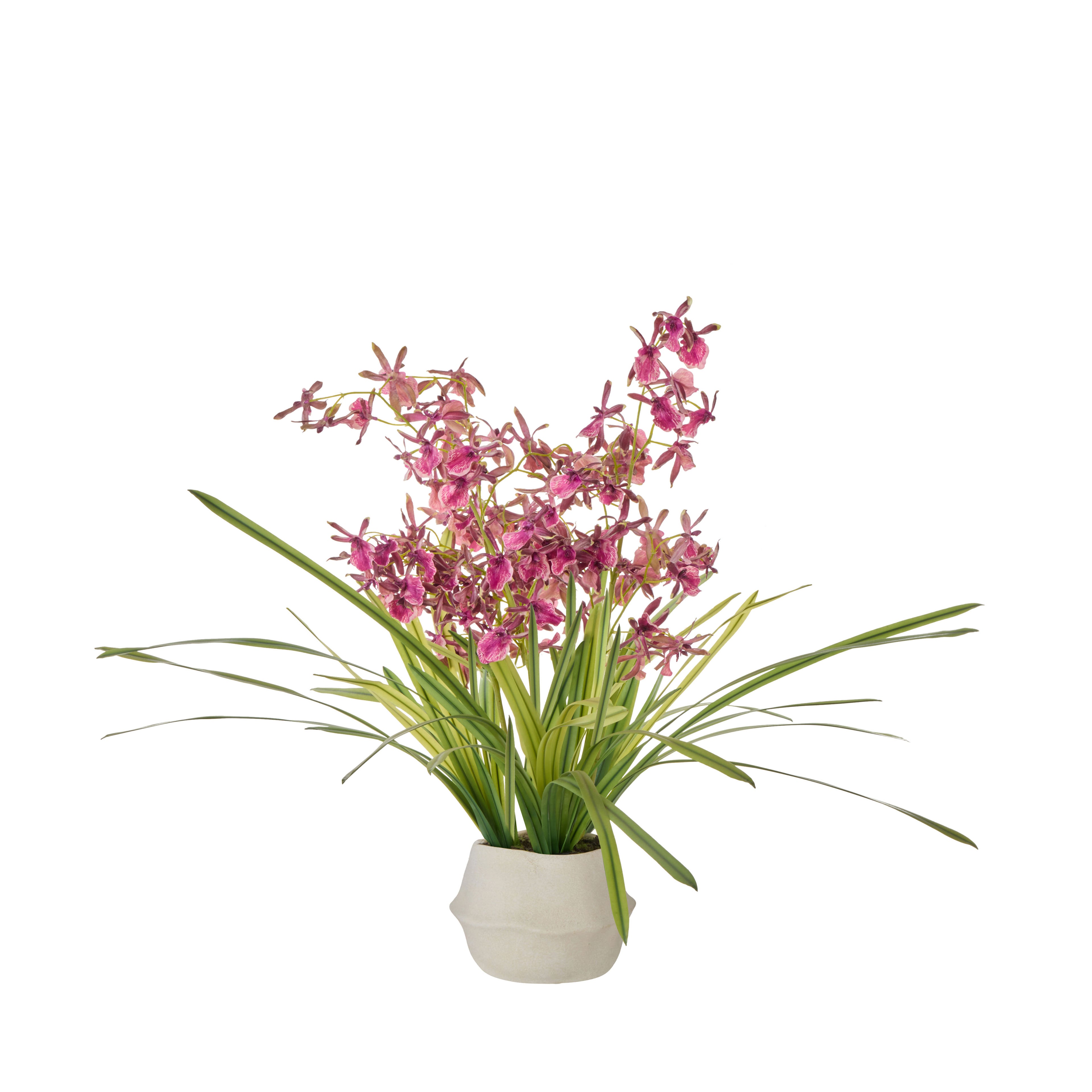 Faux Dendrobium Plant - Maliah Pot | Burgundy - 73cm