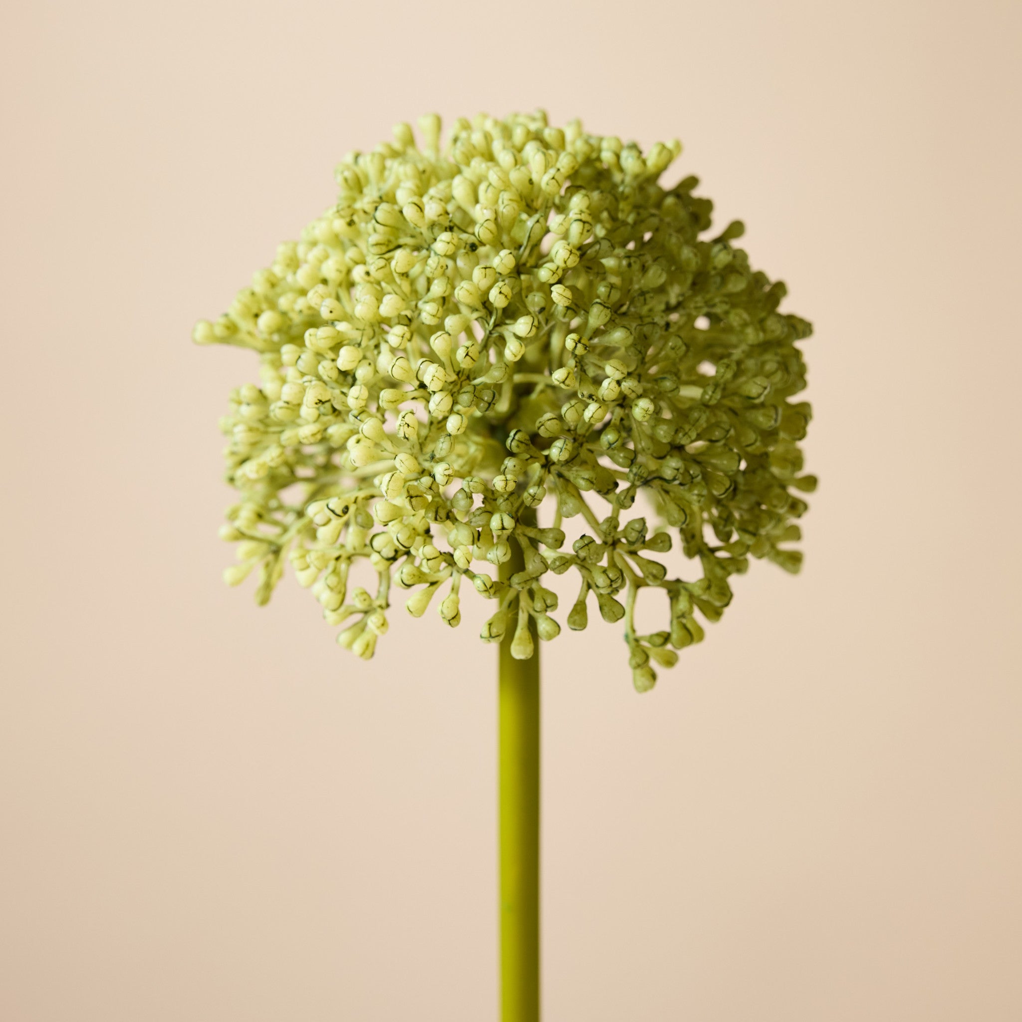 Faux Buddleia Stem | Green - 59cm