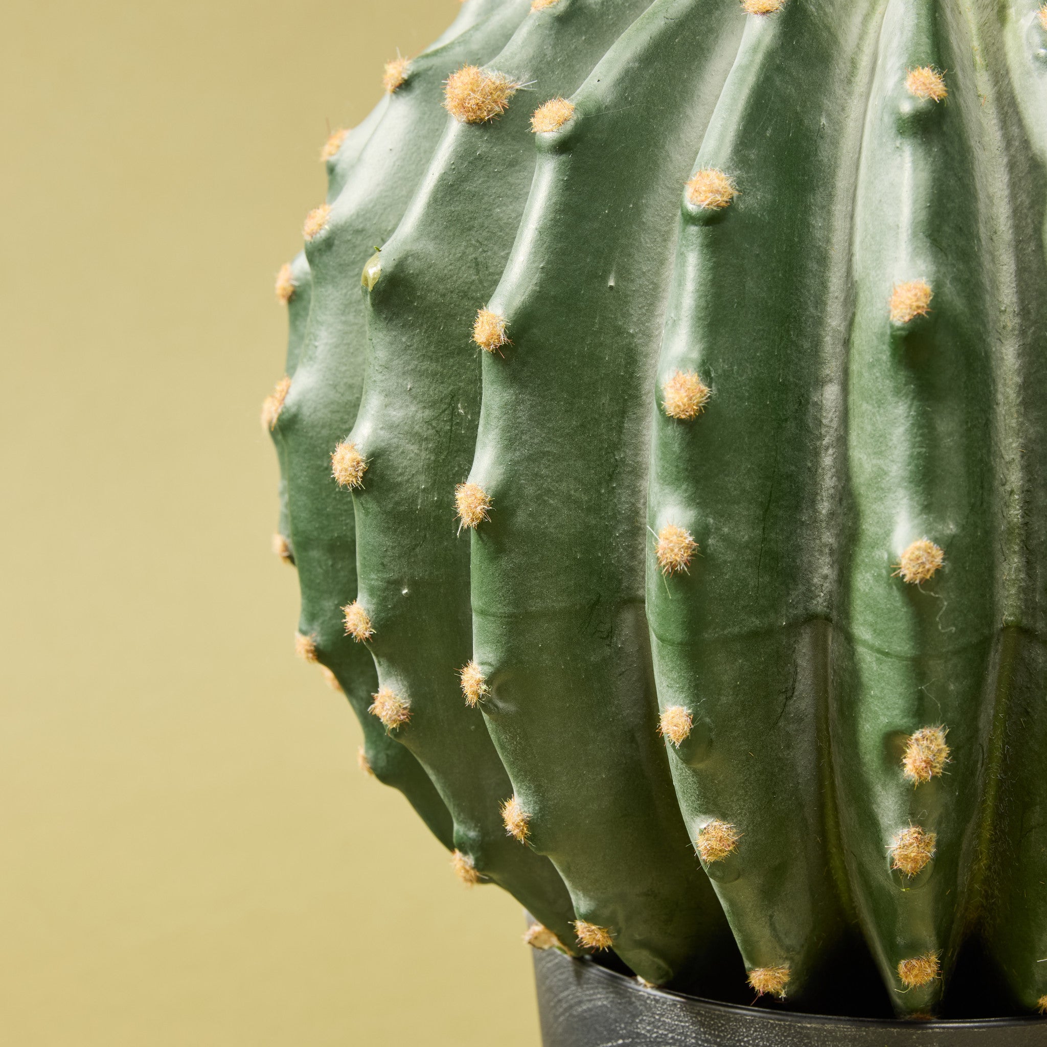 Faux Barrel Cactus | 35cm