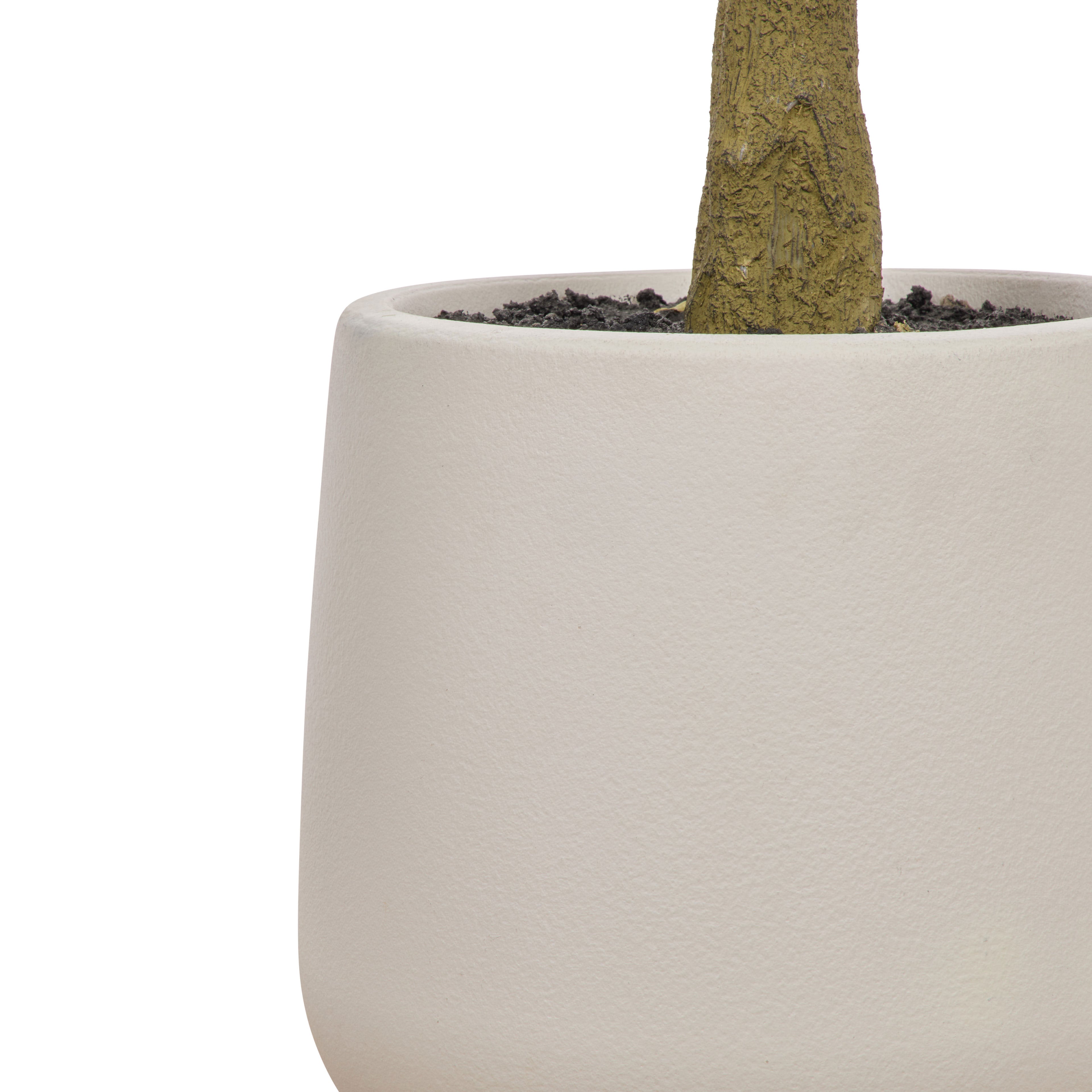 Faux Ficus Tree - White Pot | Green - 150cm