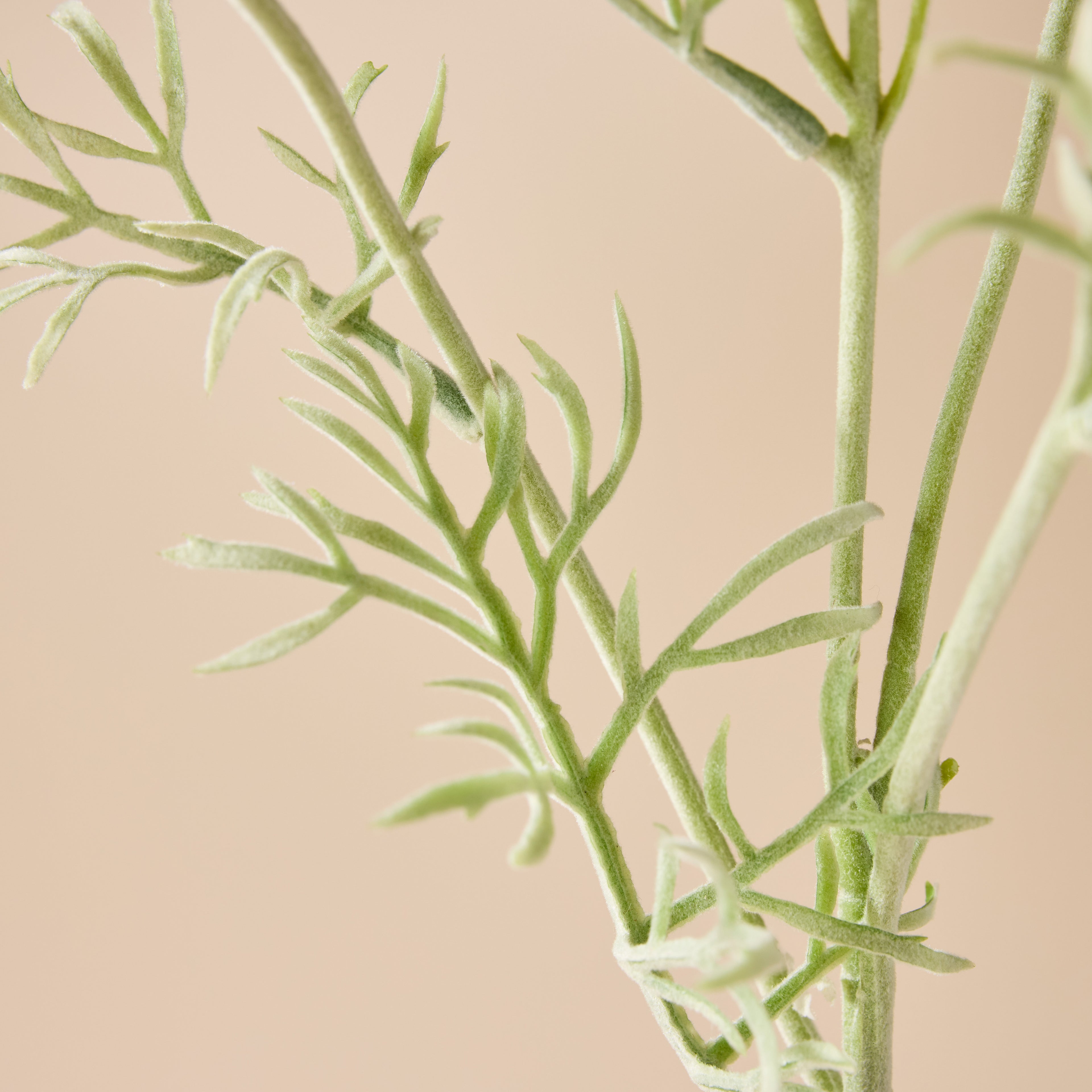 Faux Cosmos Flower Spray | Burgundy - 62cm