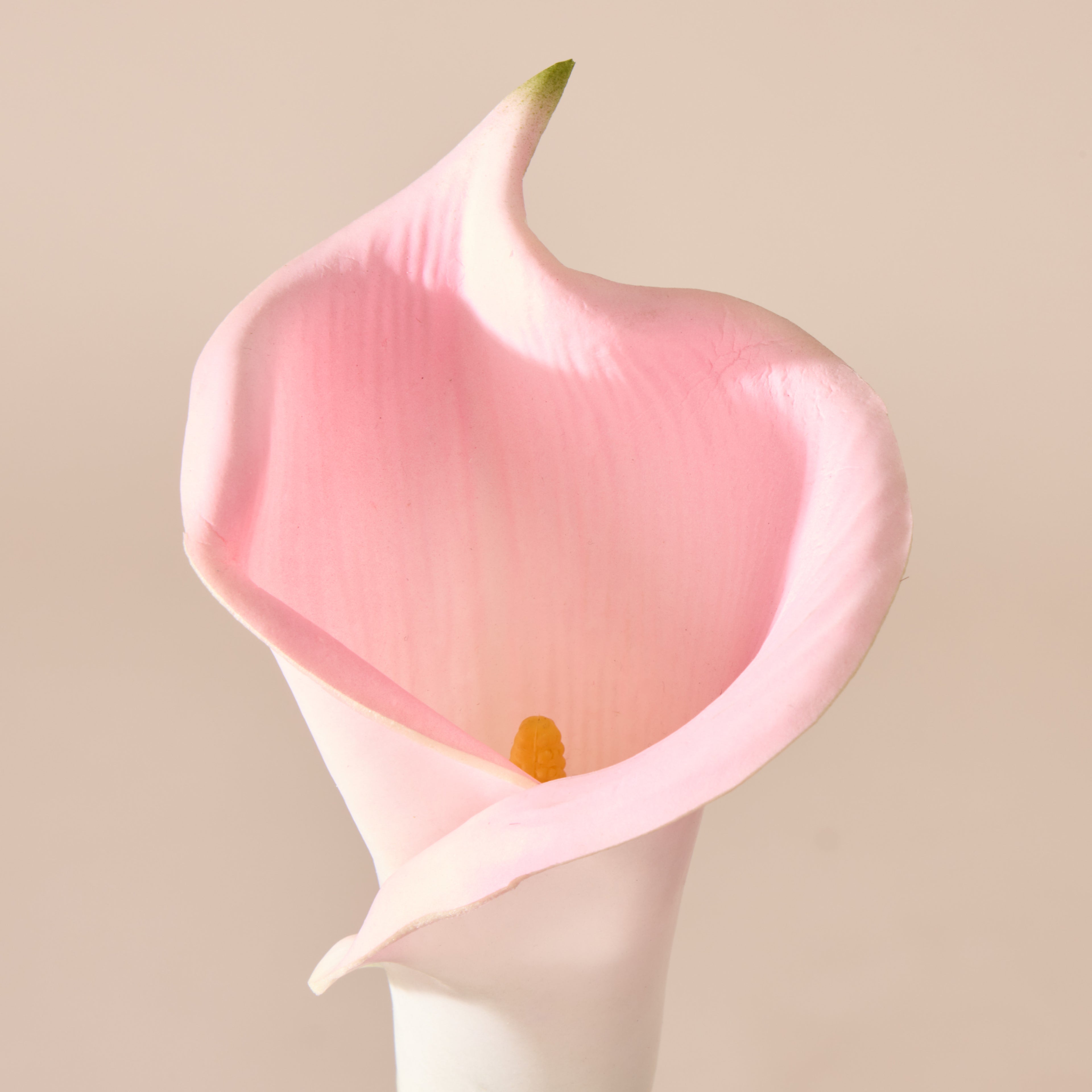 Faux Calla Lily Stem | Pink - 64cm