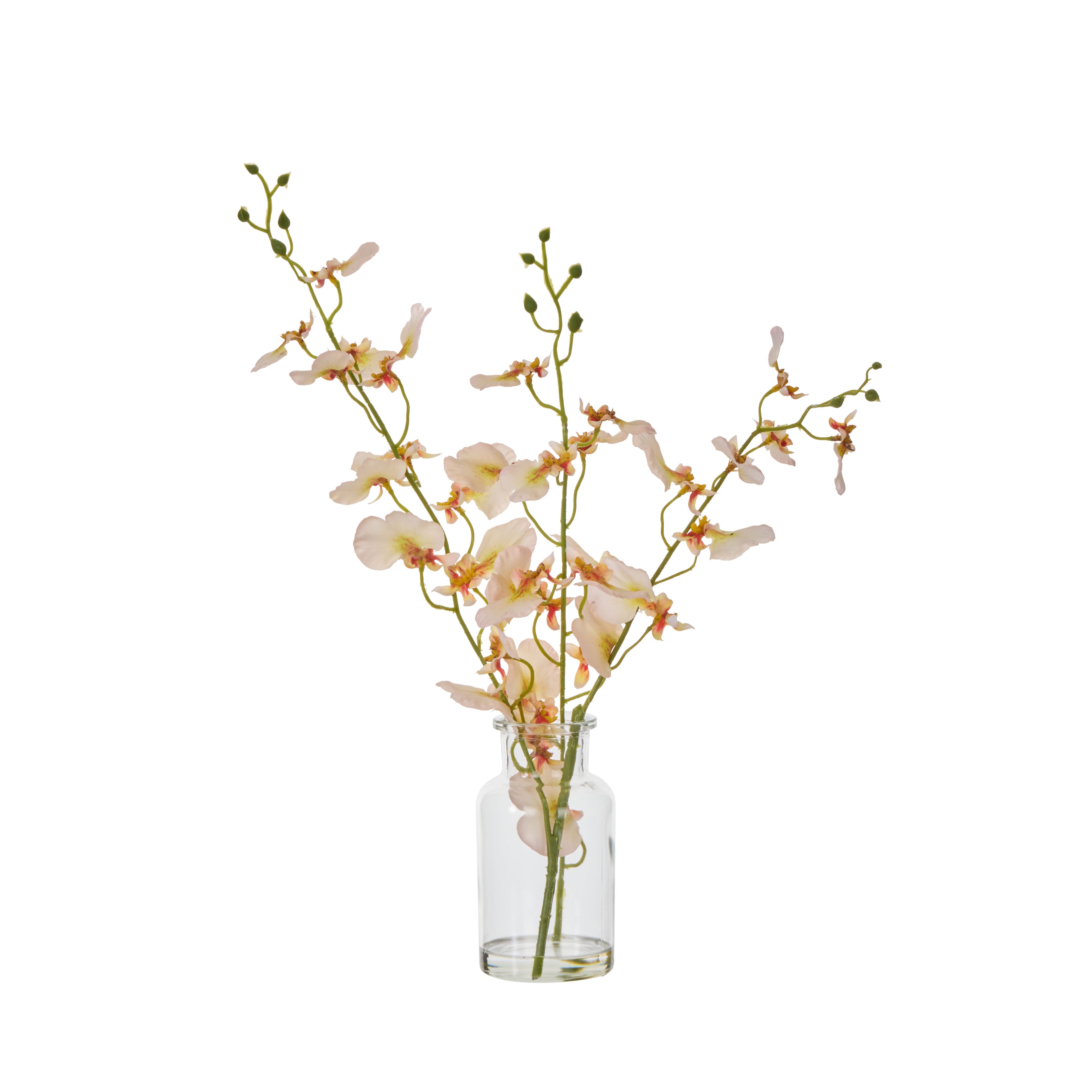 Faux Dancing Orchid - Specimen Bottle | Cream - 36cm