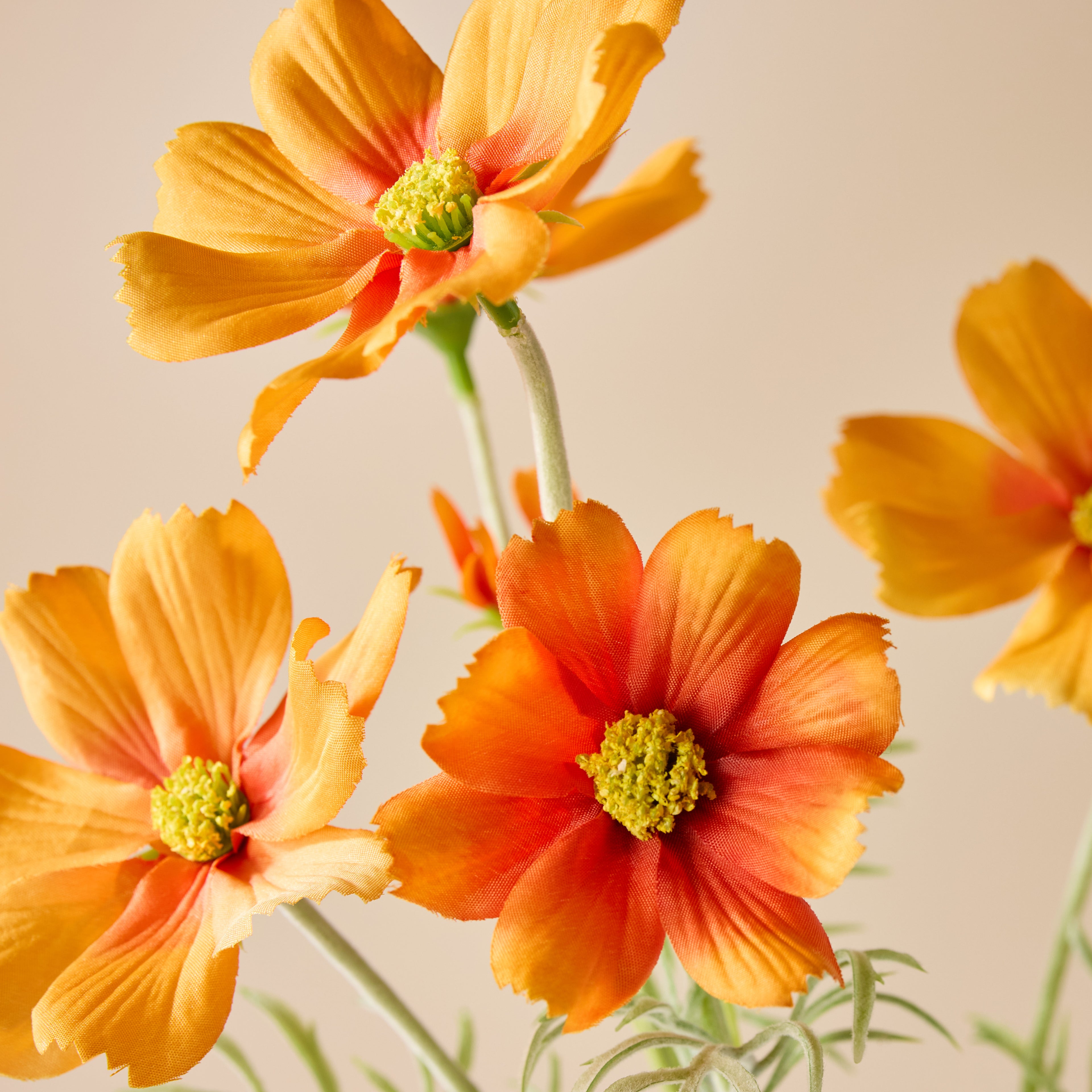 Faux Cosmos Flower Spray - Orange | Caldera Vase Stem Set | Three Birds Set