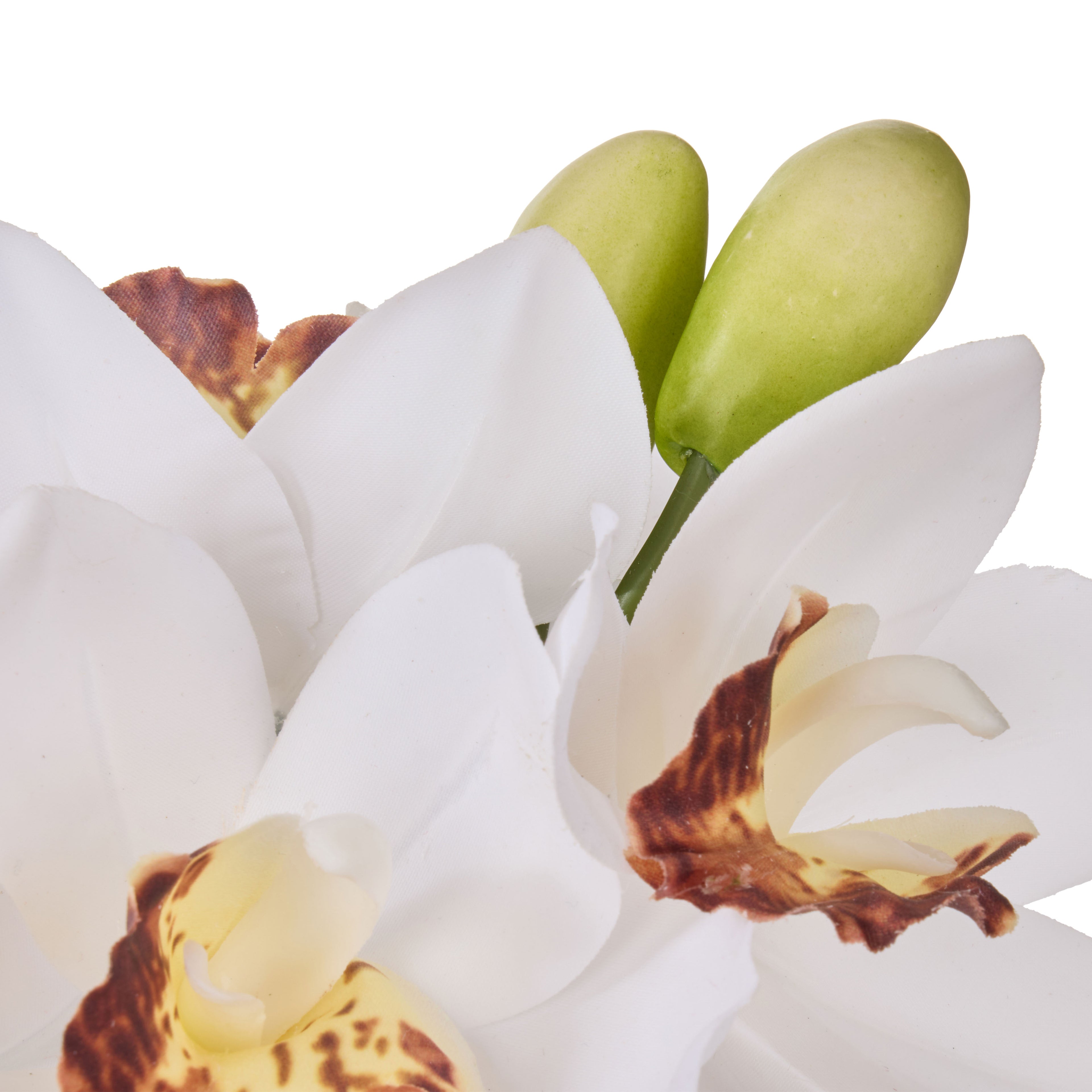 Faux Cymbidium - Glass Vase | White - 20cm