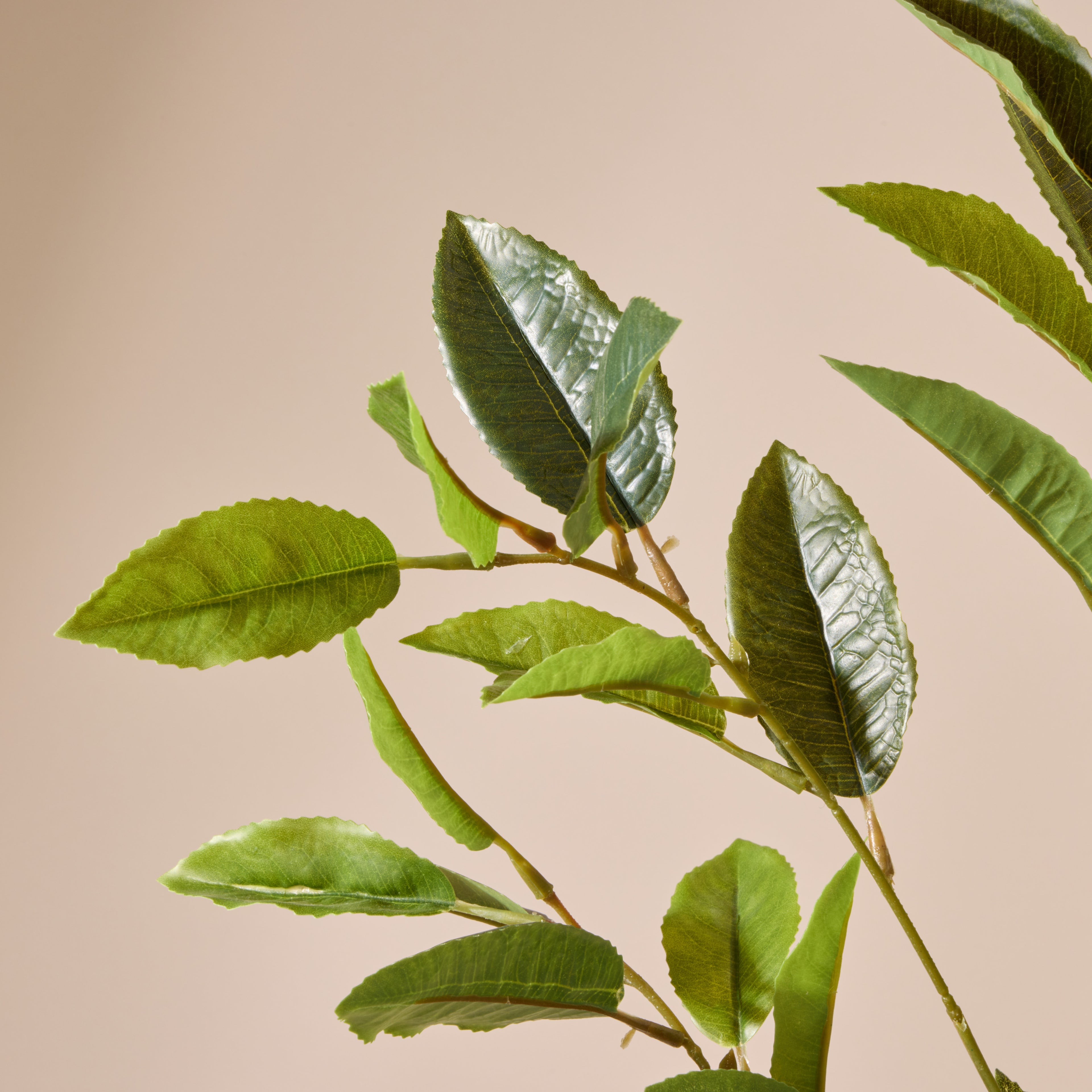 Faux Viburnum Spray | Green - 72cm